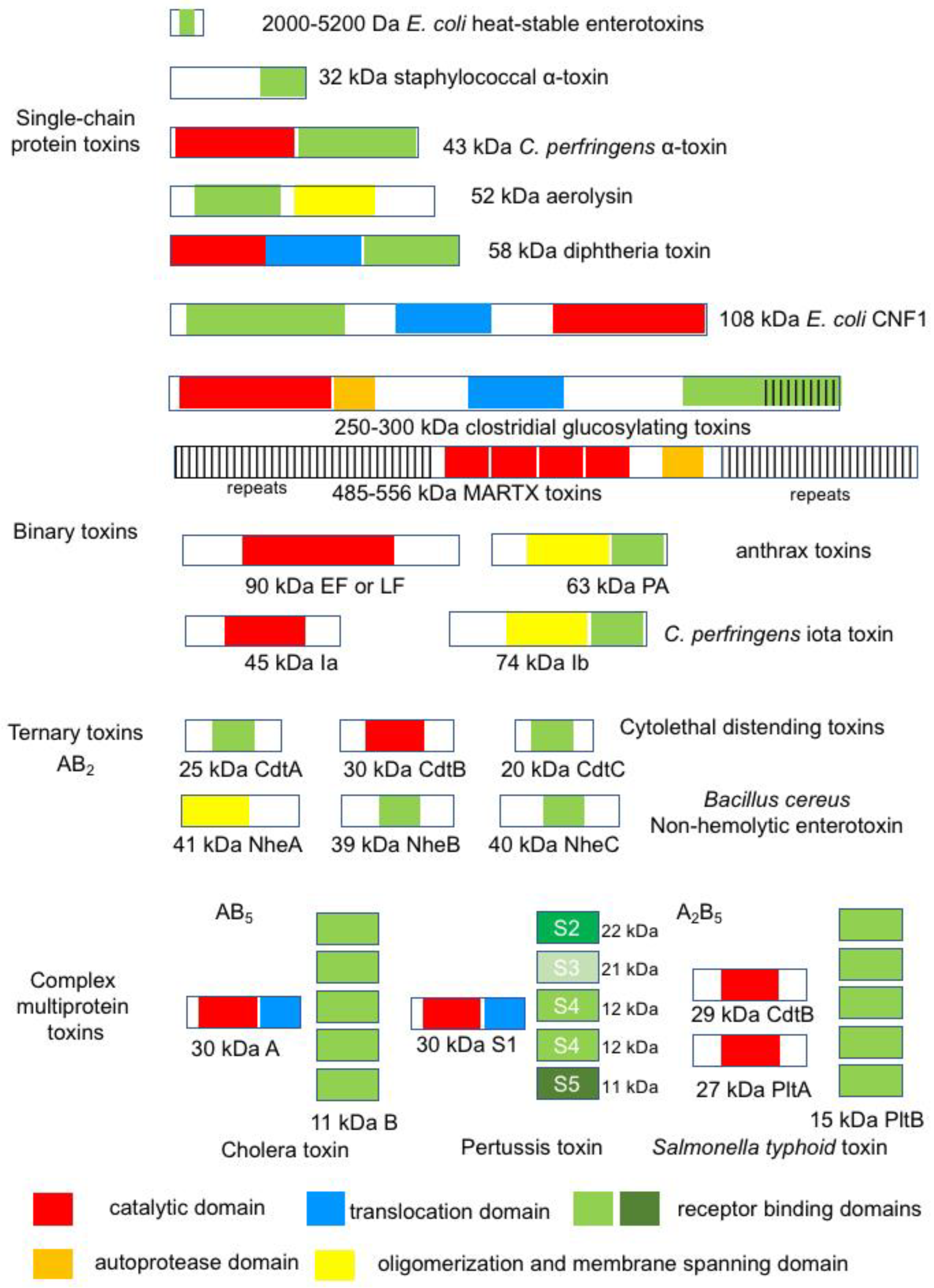 Toxins 16 00182 g003 Toxins 16 00182 g003