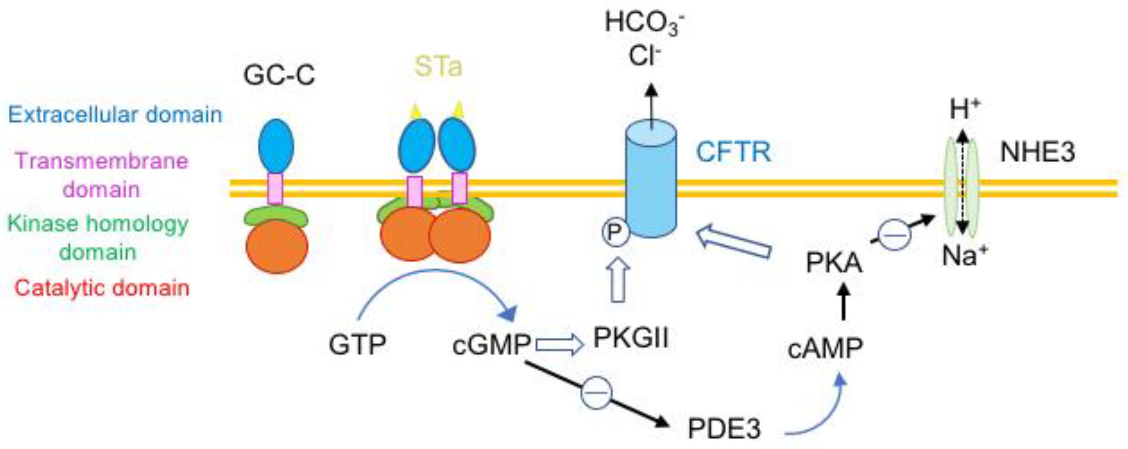 Toxins 16 00182 g005 Toxins 16 00182 g005
