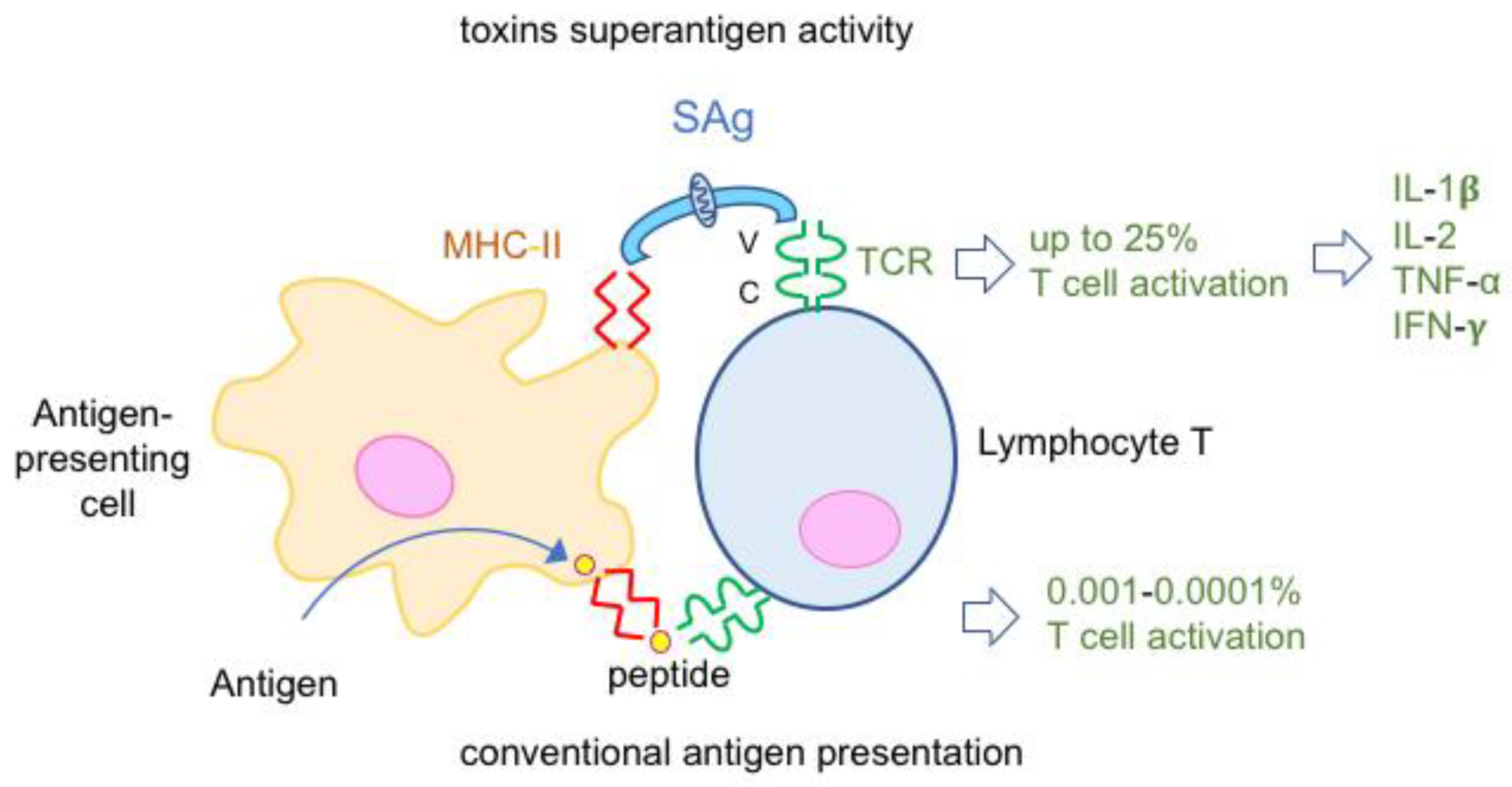 Toxins 16 00182 g006 Toxins 16 00182 g006