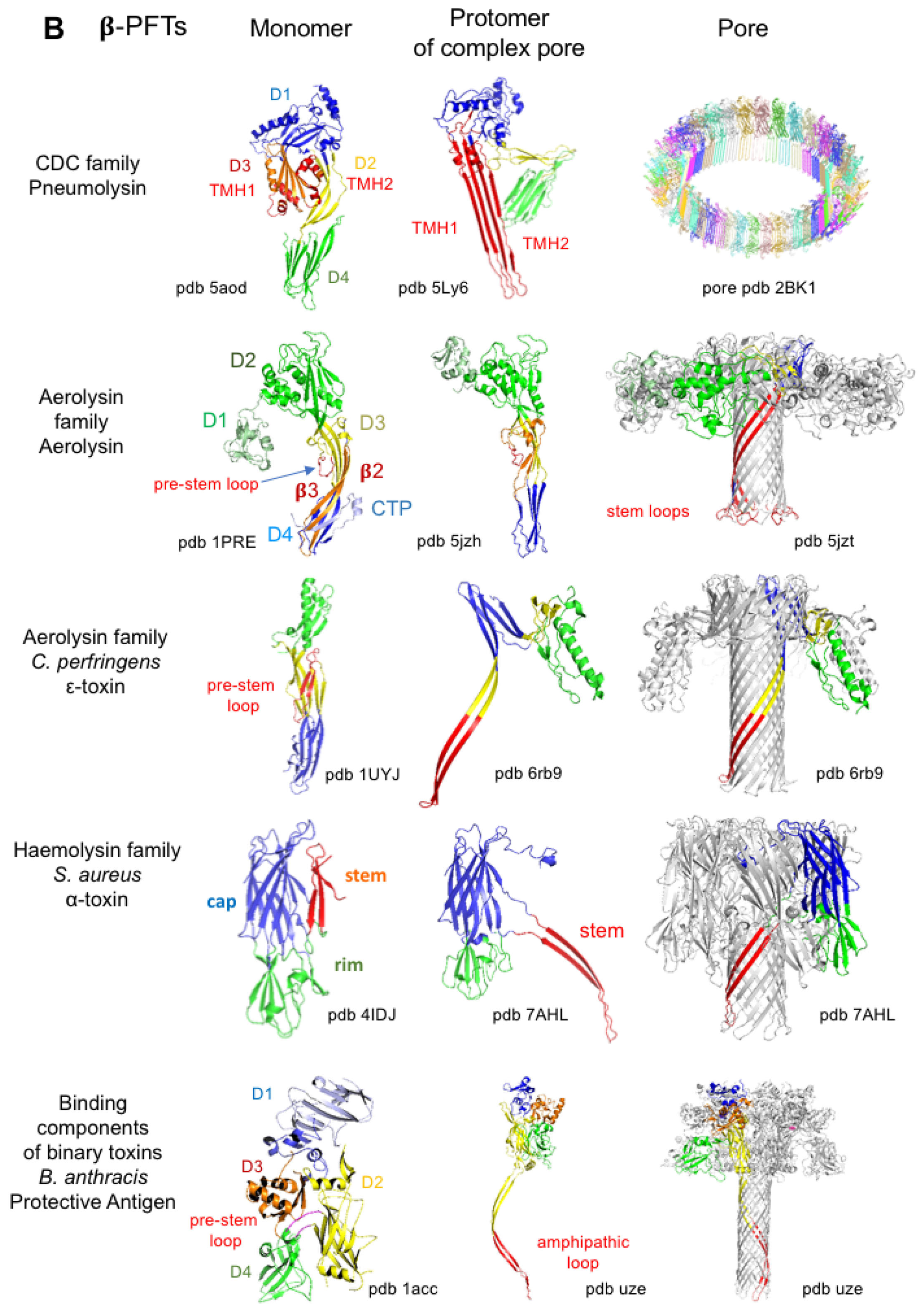 Toxins 16 00182 g007b Toxins 16 00182 g007b