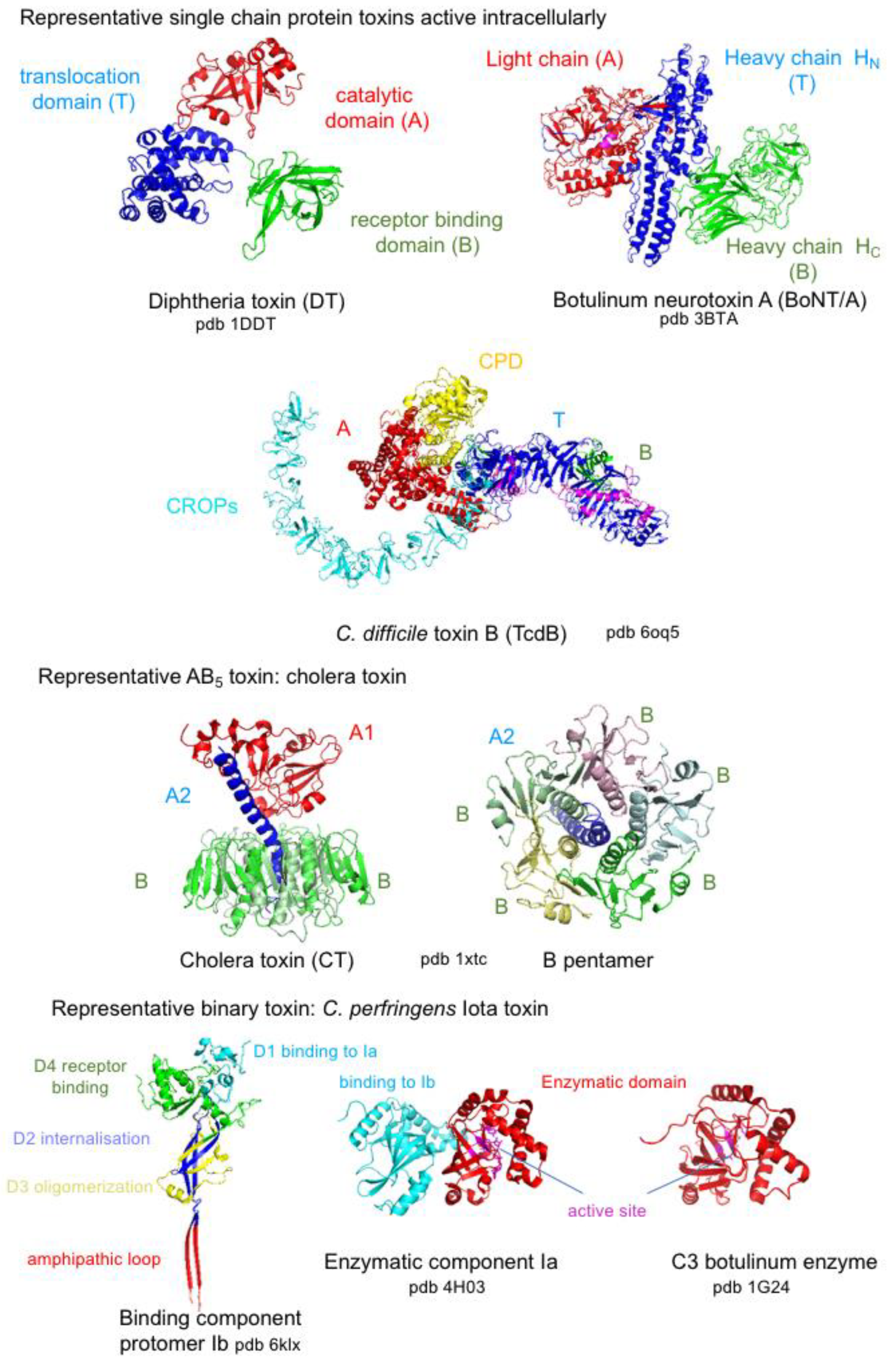 Toxins 16 00182 g010 Toxins 16 00182 g010