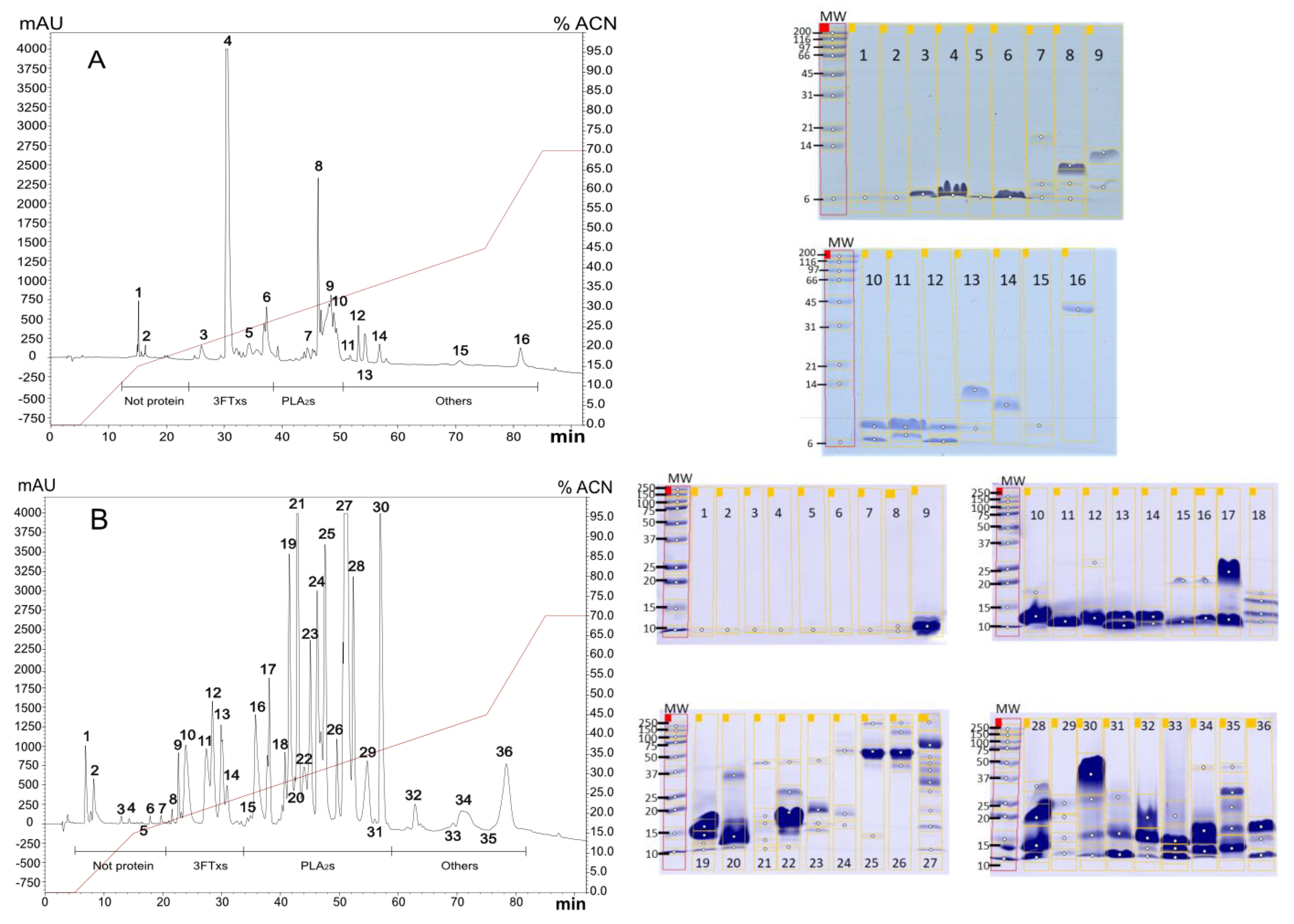 Toxins 16 00183 g001a