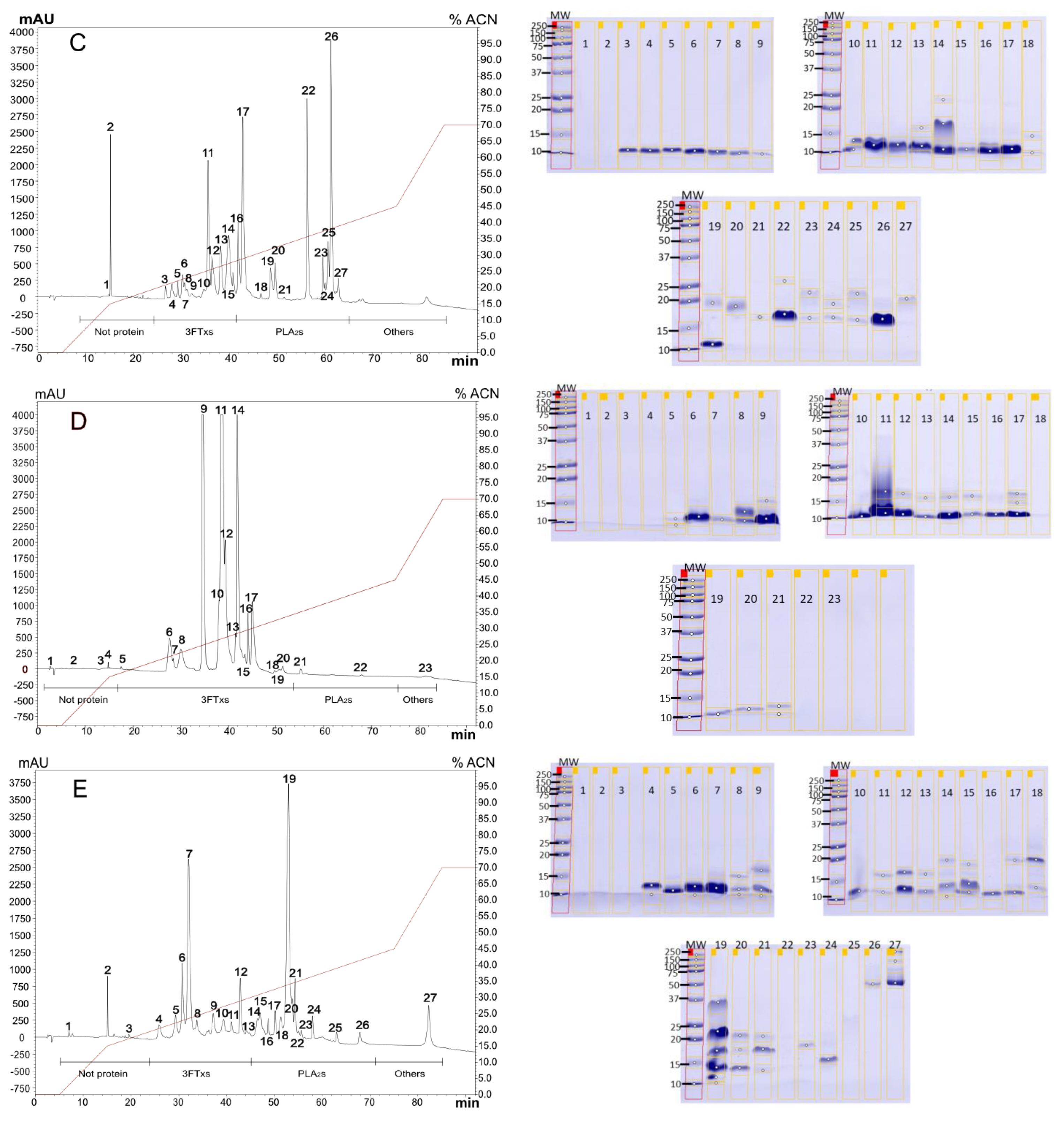 Toxins 16 00183 g001b