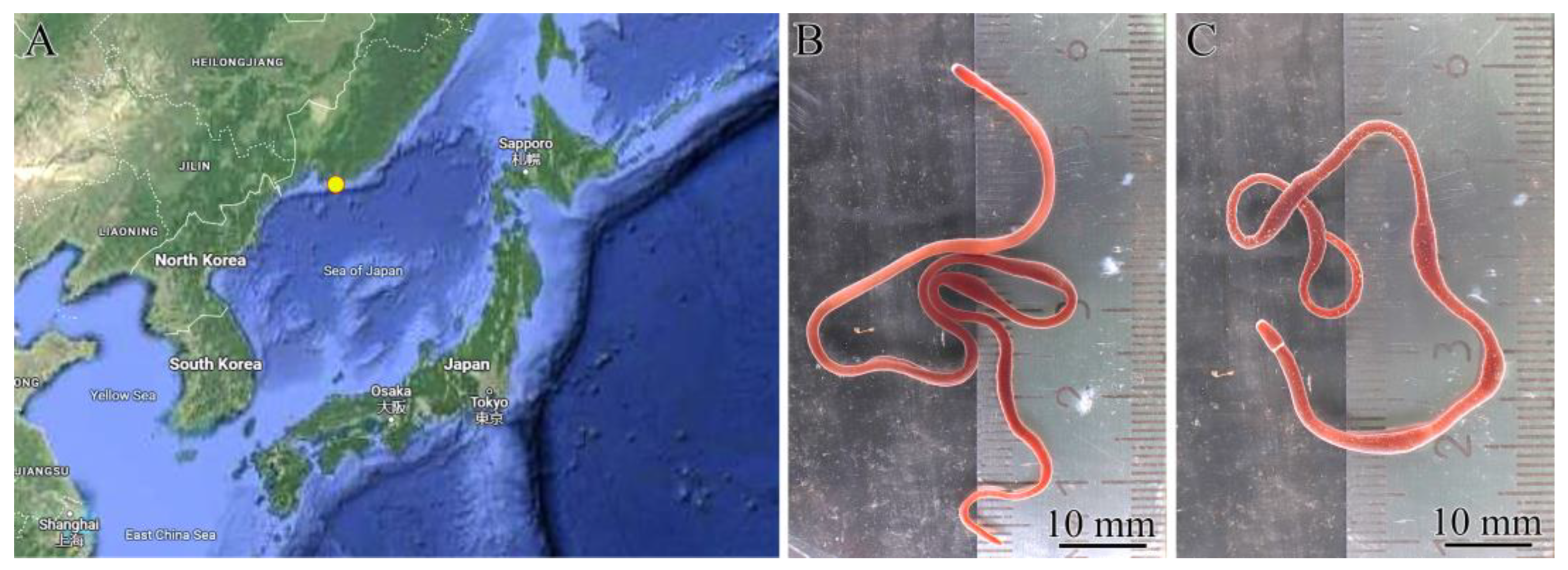 Toxins 16 00186 g010 Toxins 16 00186 g010