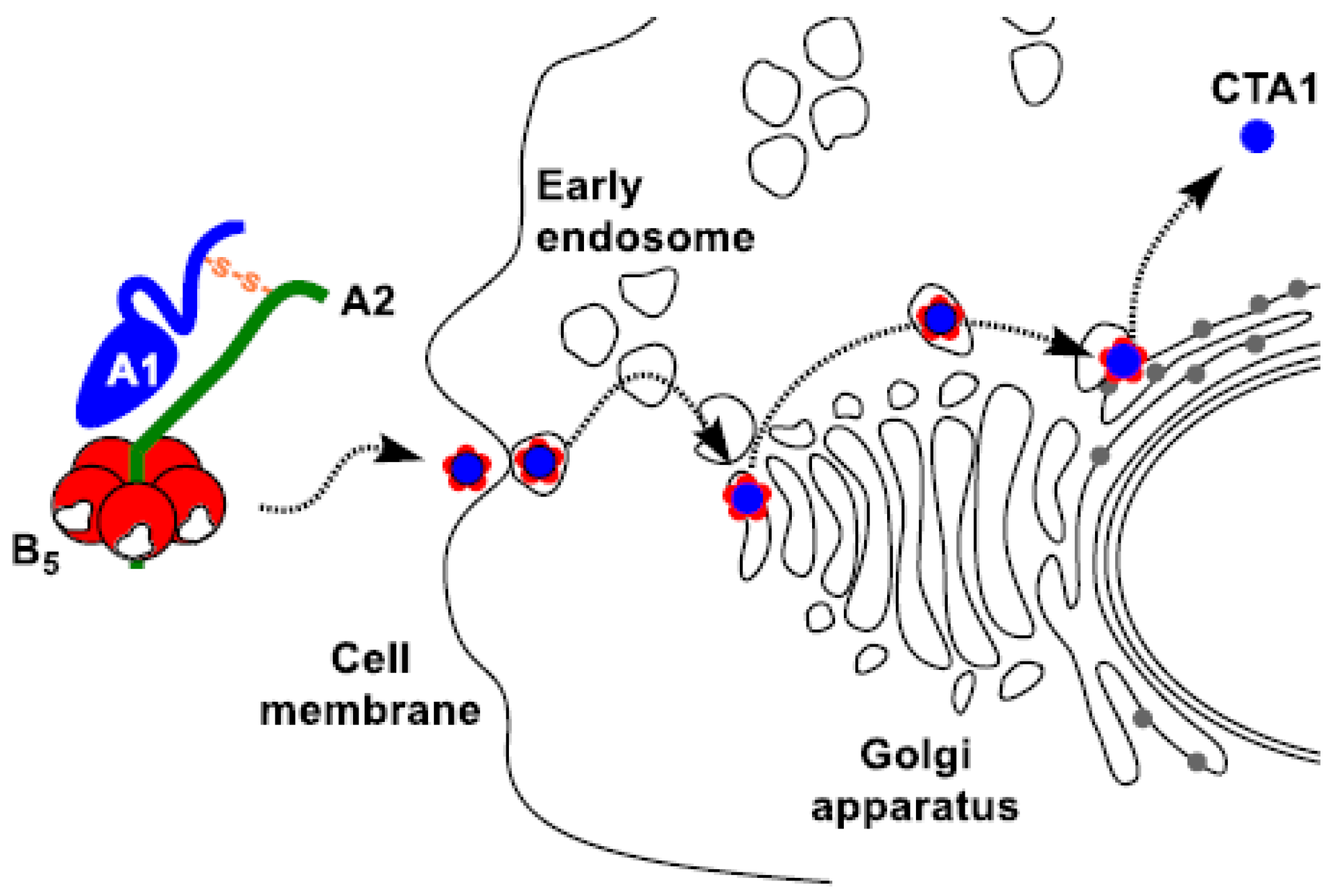 Toxins 16 00194 g001 Toxins 16 00194 g001
