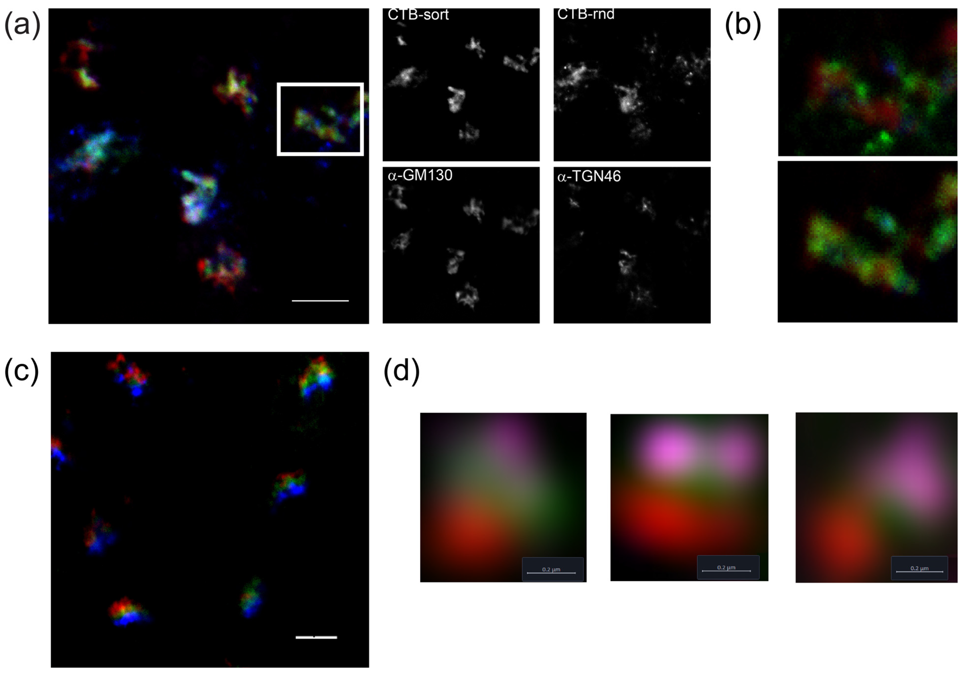 Toxins 16 00194 g007 Toxins 16 00194 g007