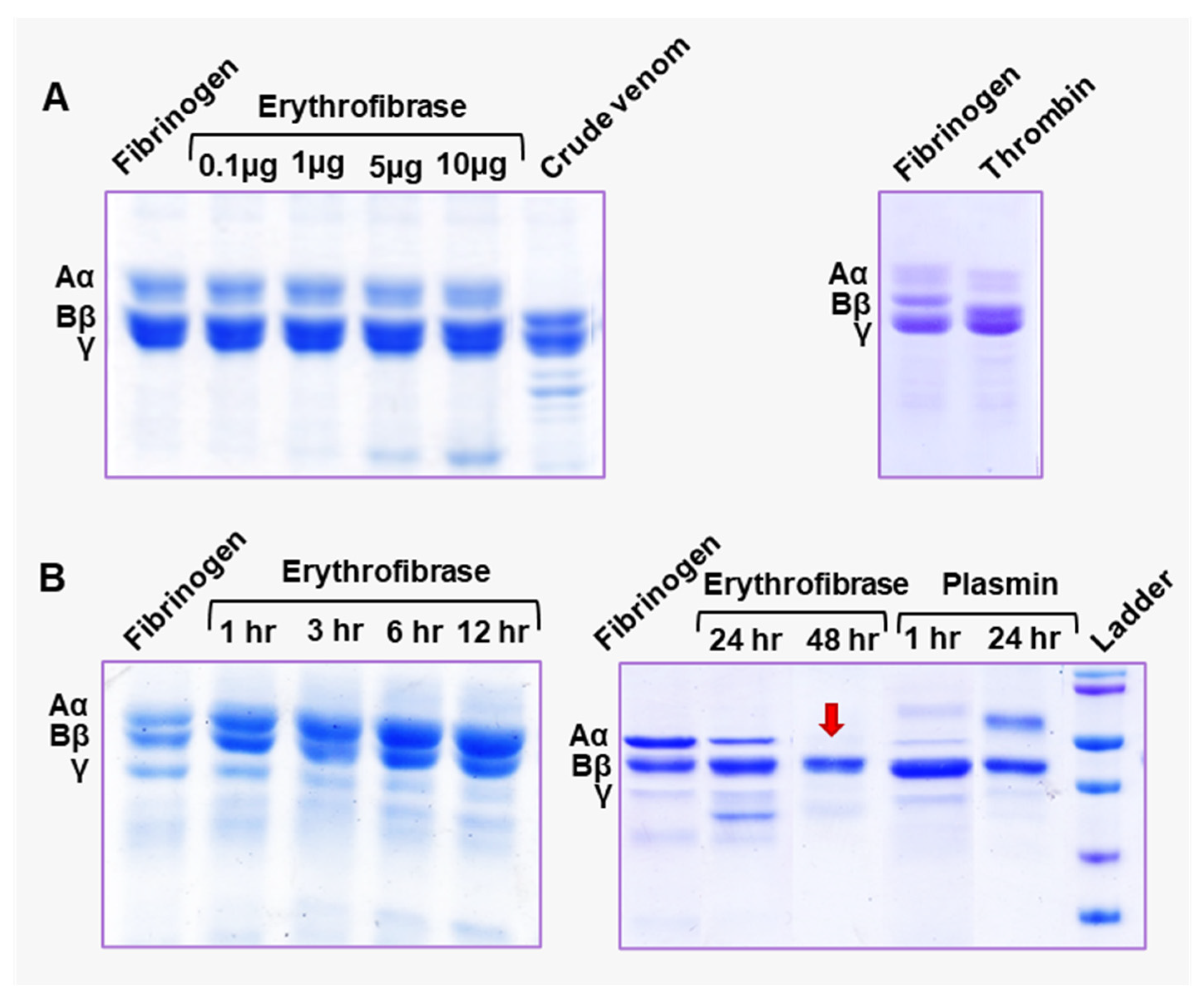 Toxins 16 00201 g004