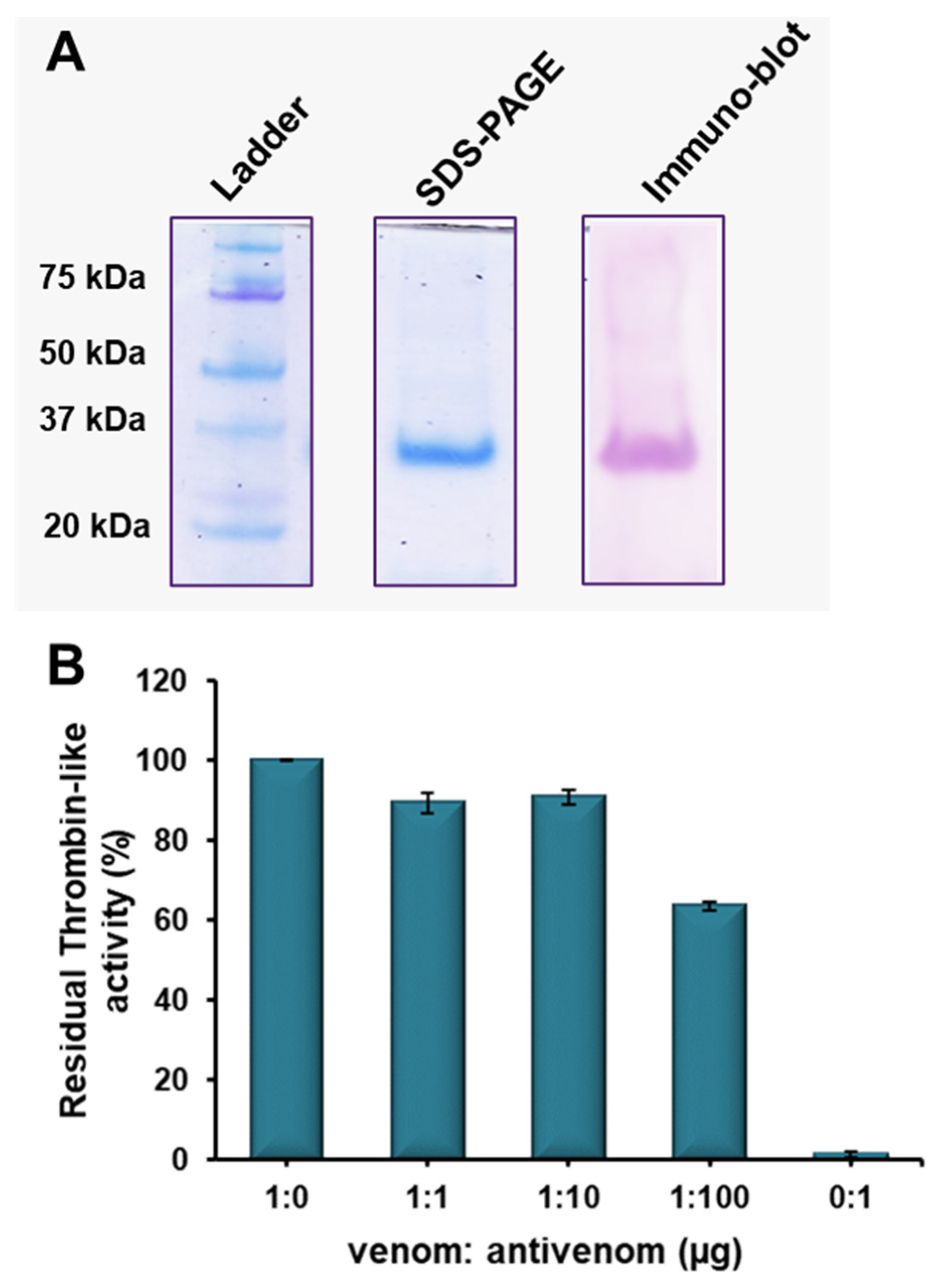Toxins 16 00201 g008a