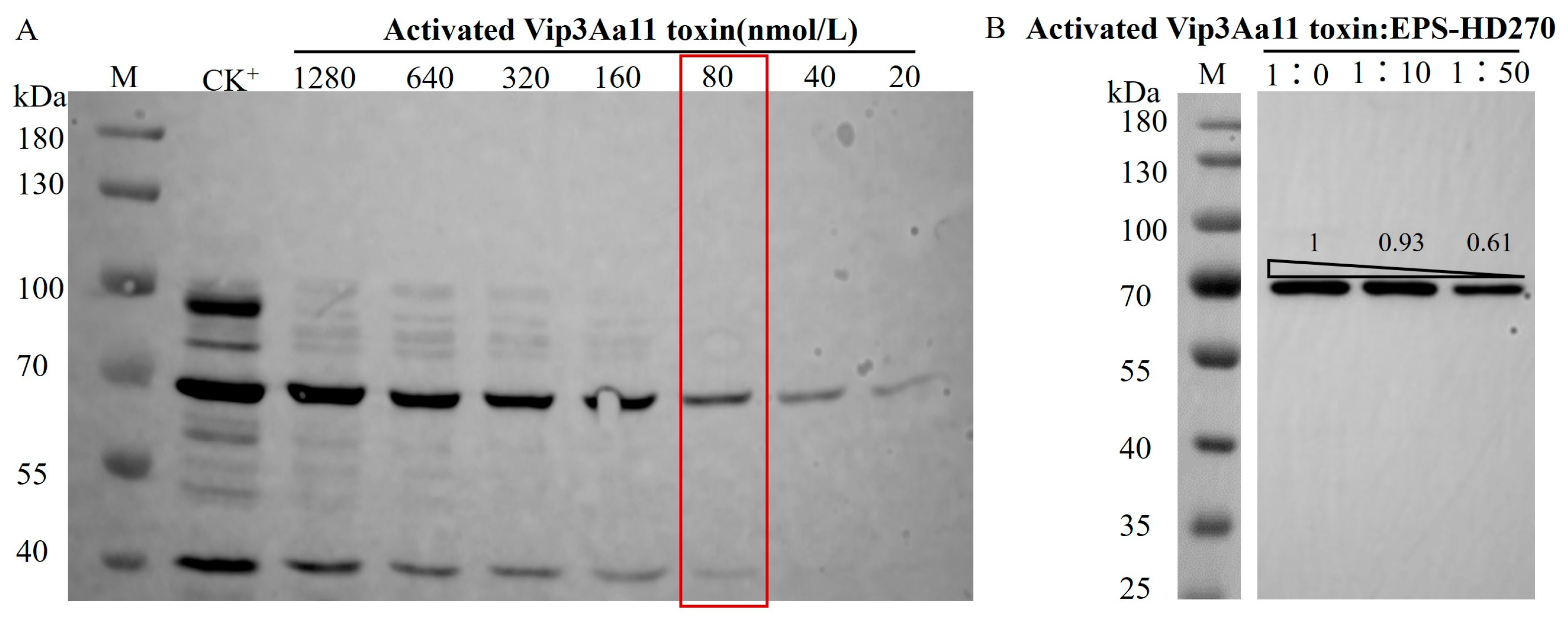 Toxins 16 00215 g007