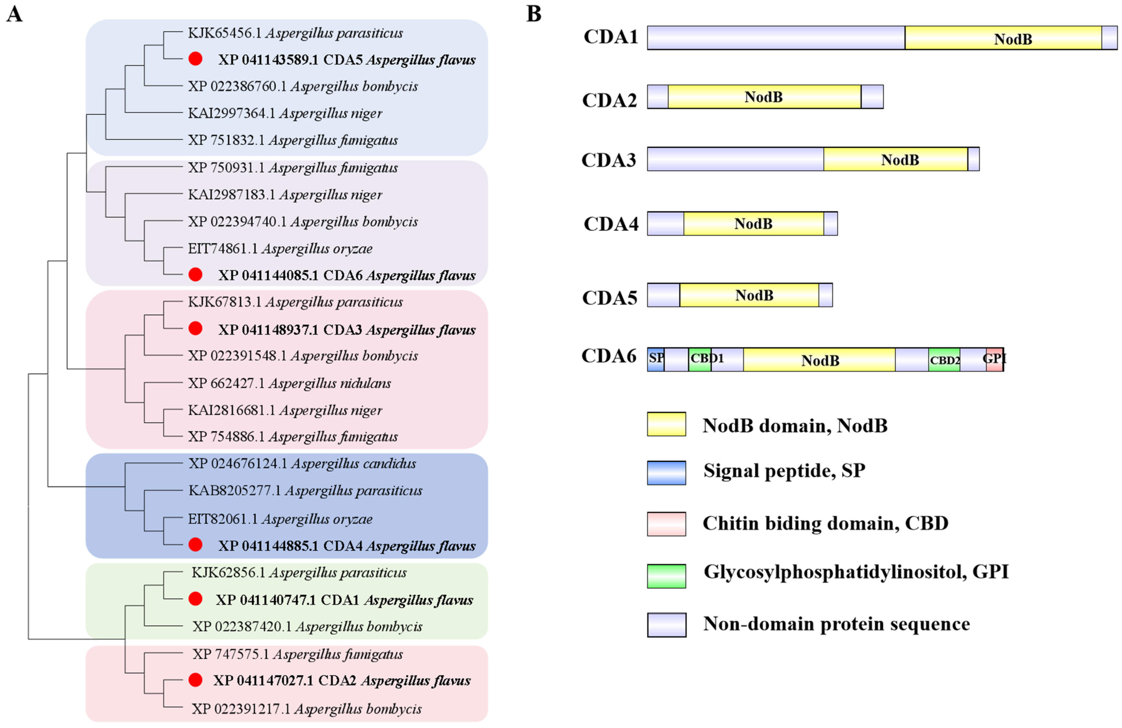 Toxins 16 00217 g001