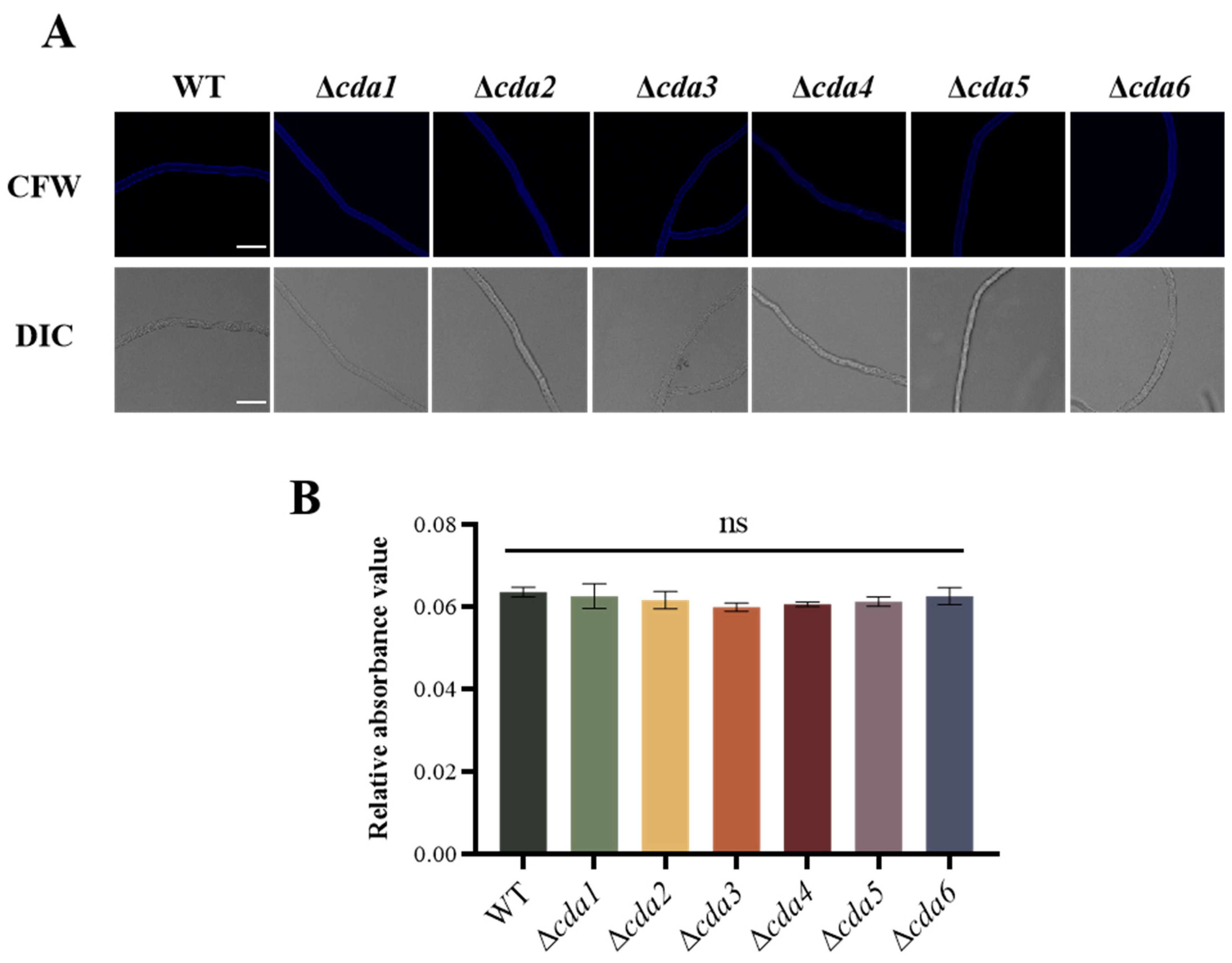 Toxins 16 00217 g002