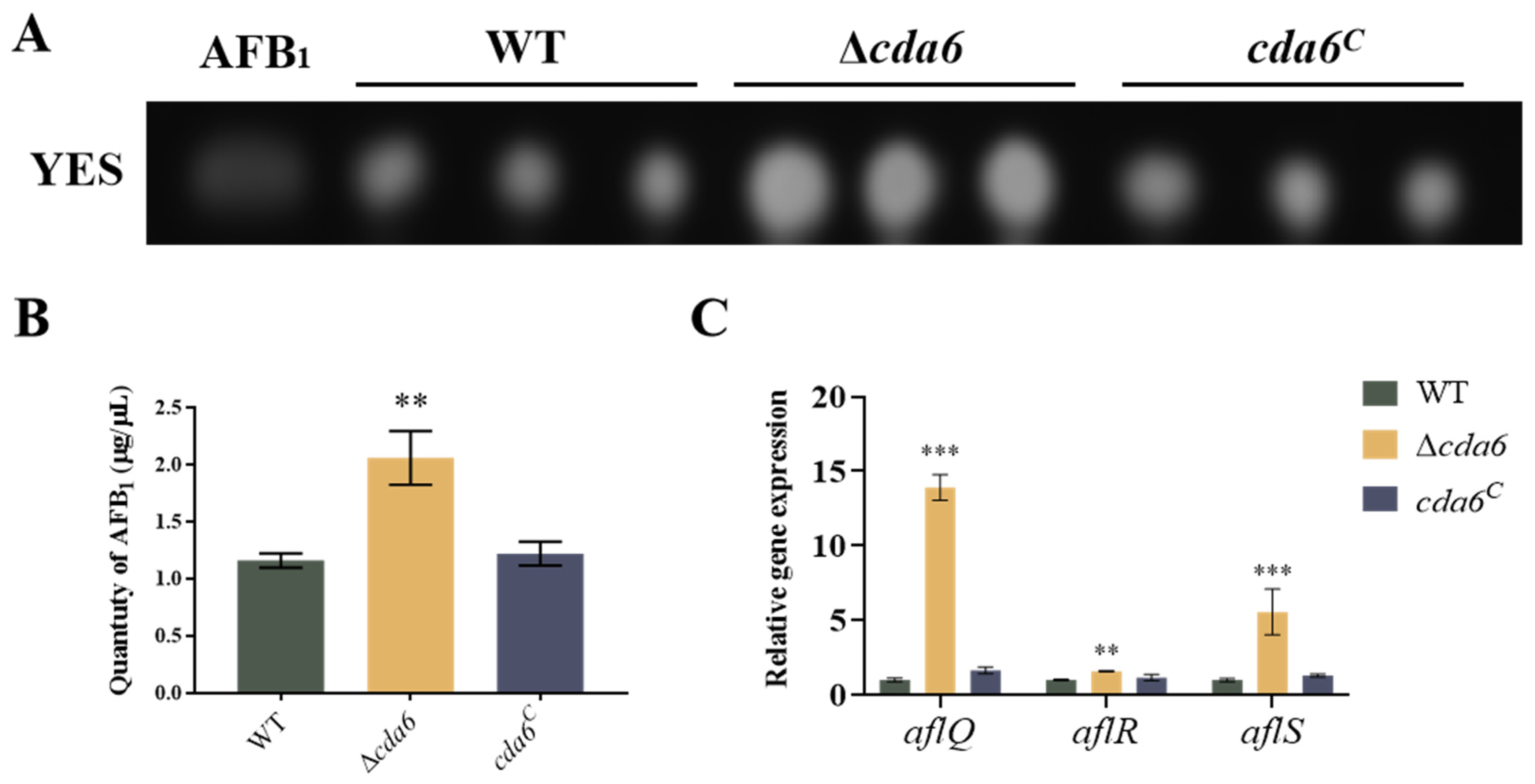 Toxins 16 00217 g006