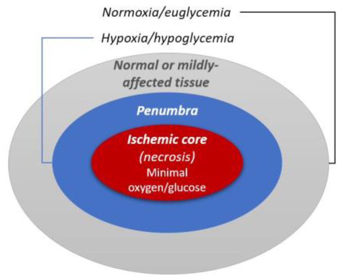 Toxins 16 00232 g001 Toxins 16 00232 g001