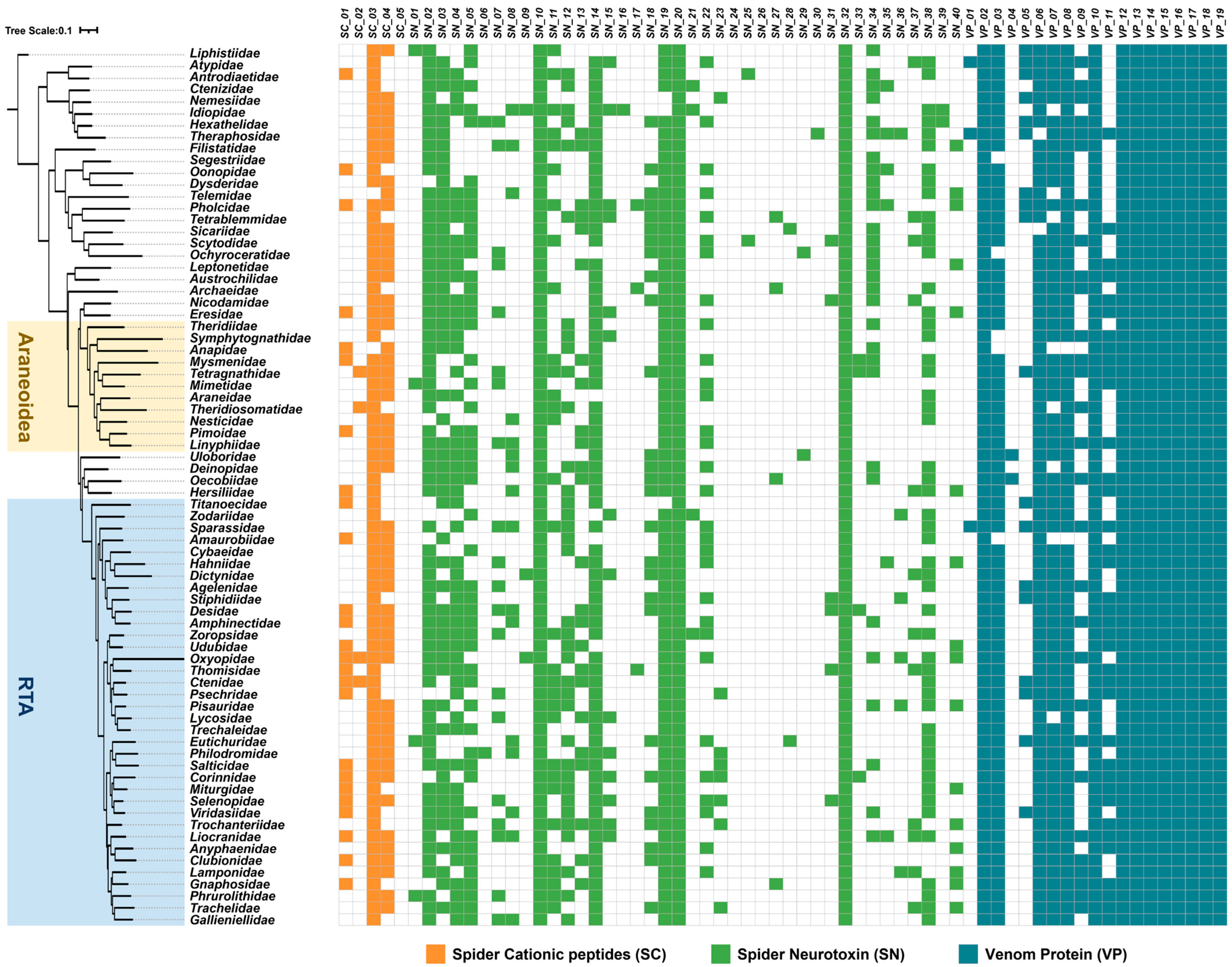 Toxins 16 00240 g001