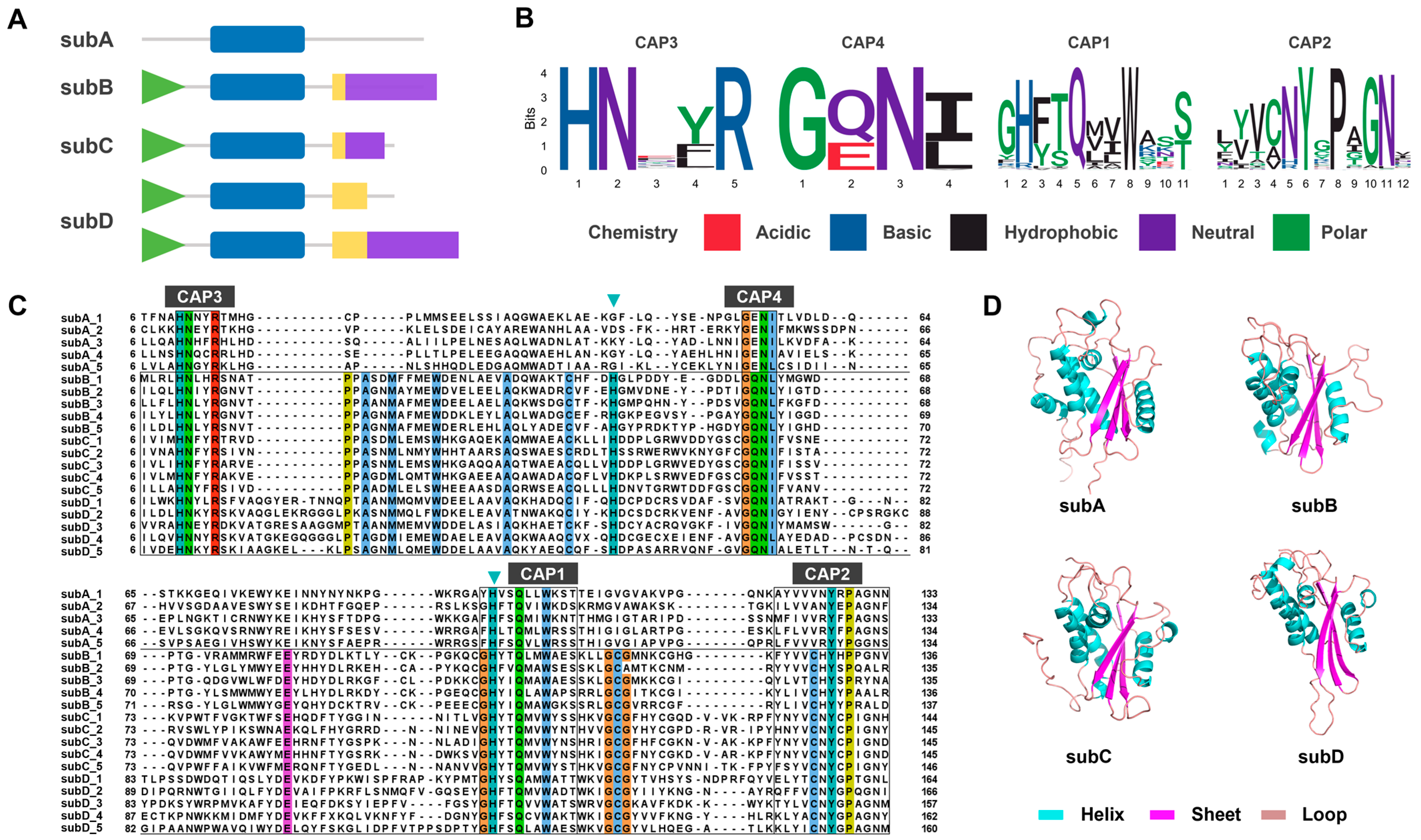 Toxins 16 00240 g004