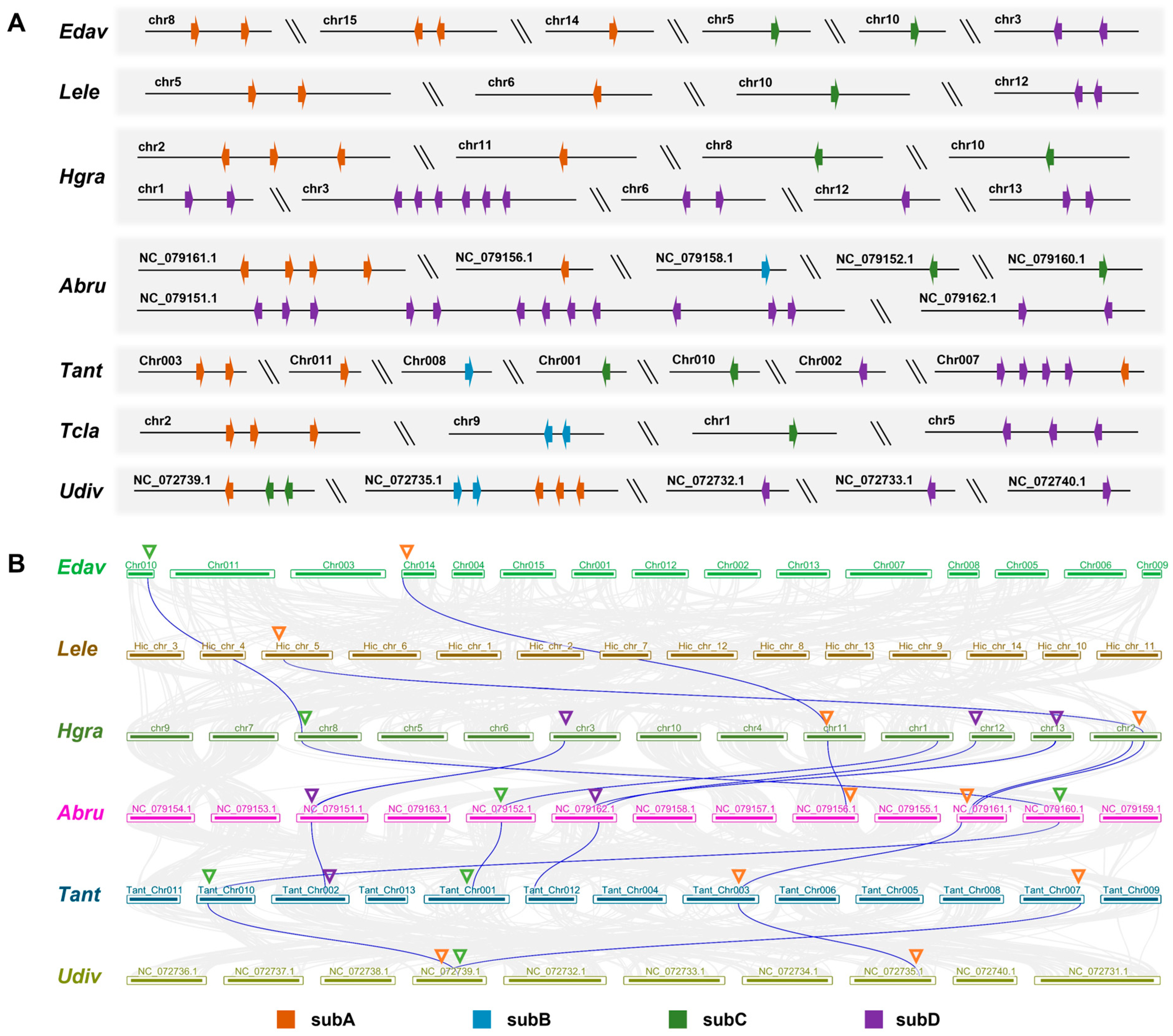 Toxins 16 00240 g008