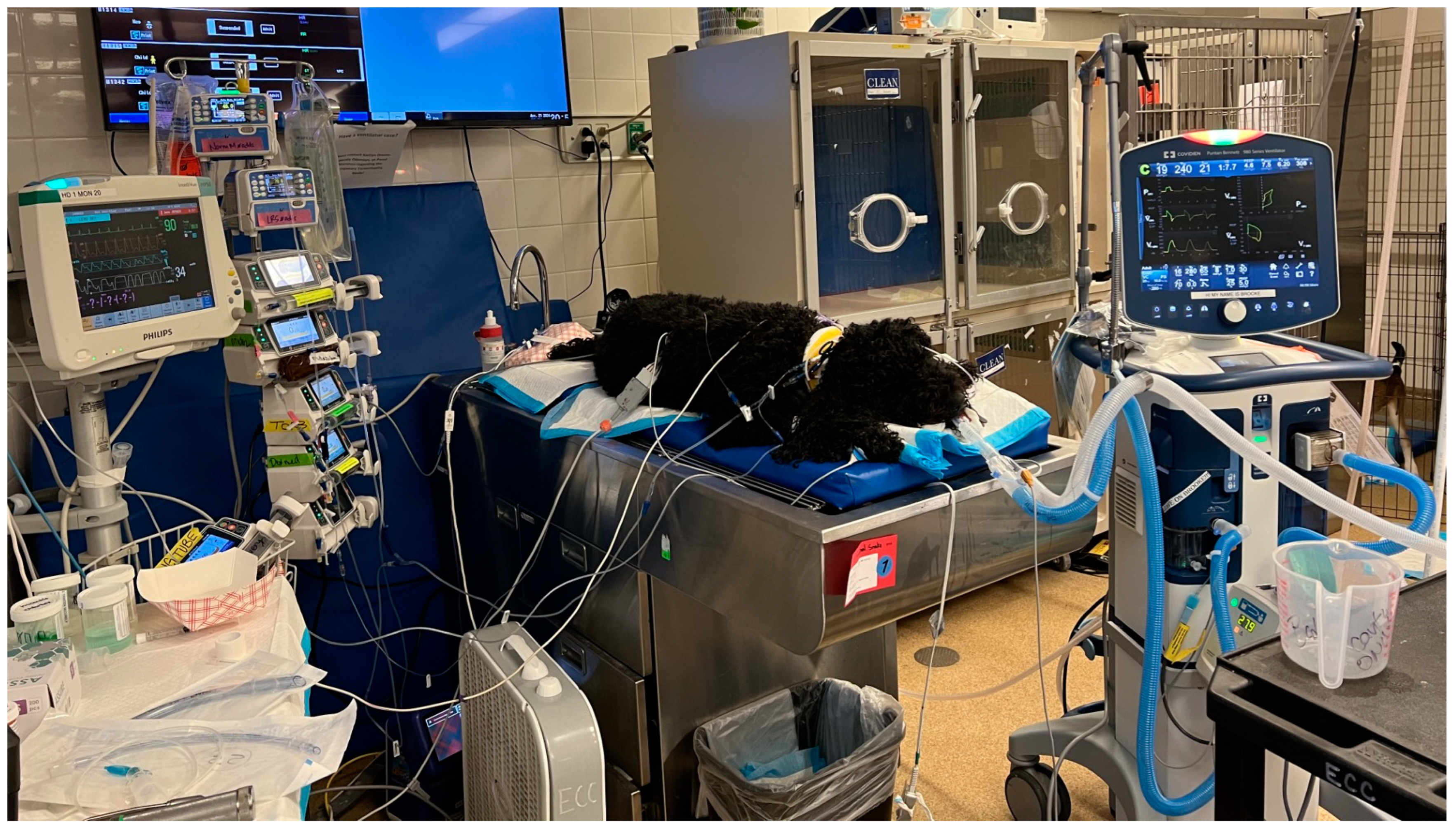 Toxins 16 00246 g003