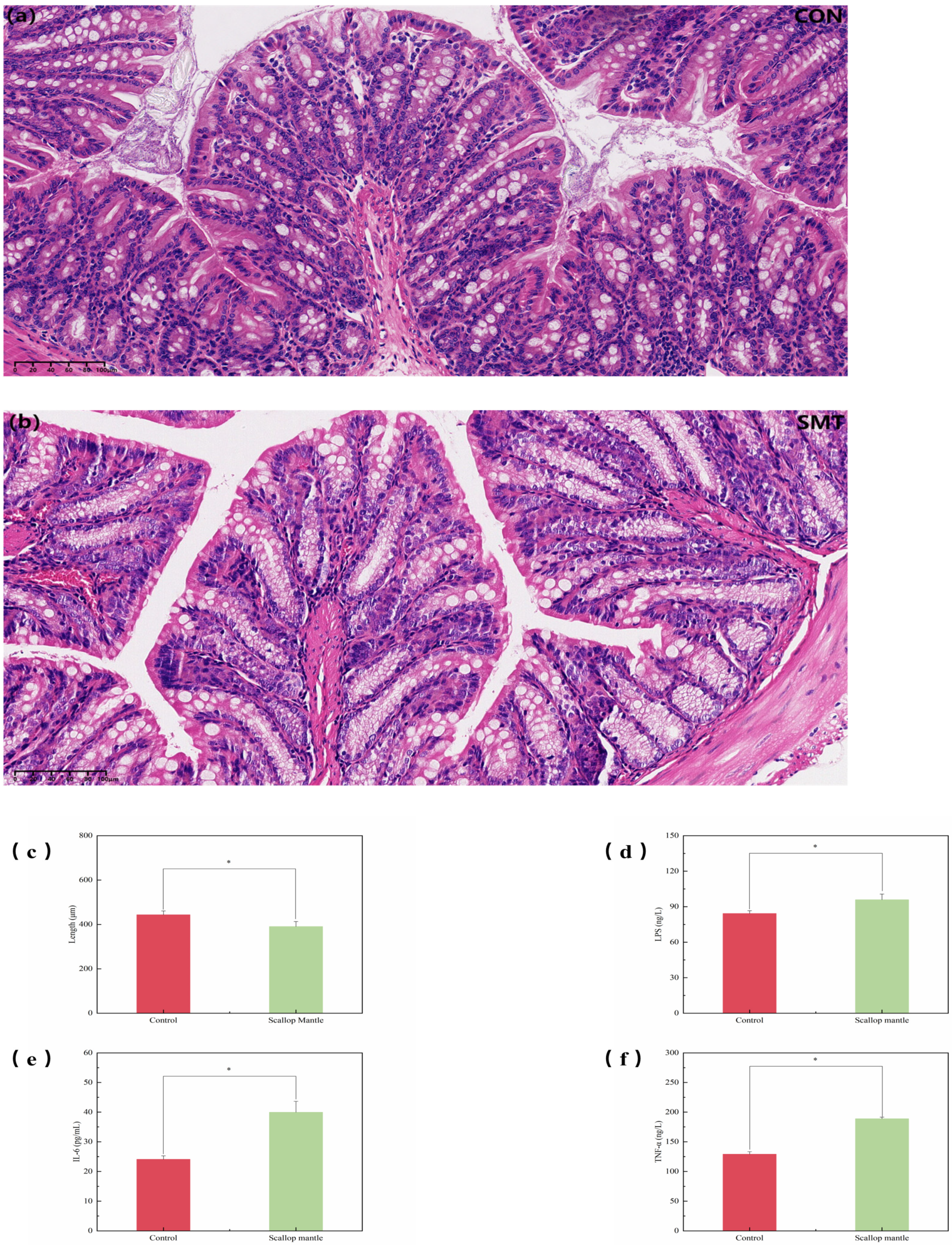 Toxins 16 00247 g004
