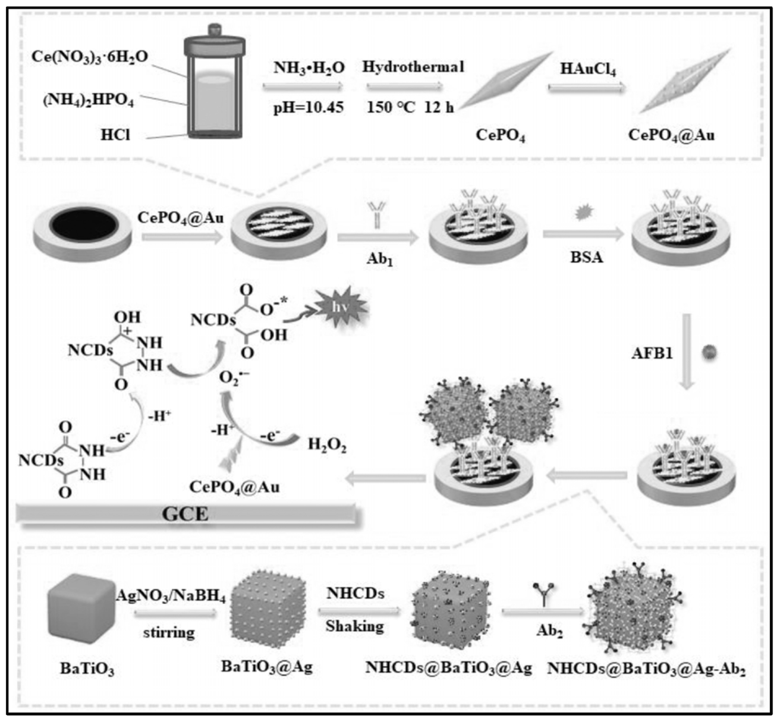 Toxins 16 00249 g001