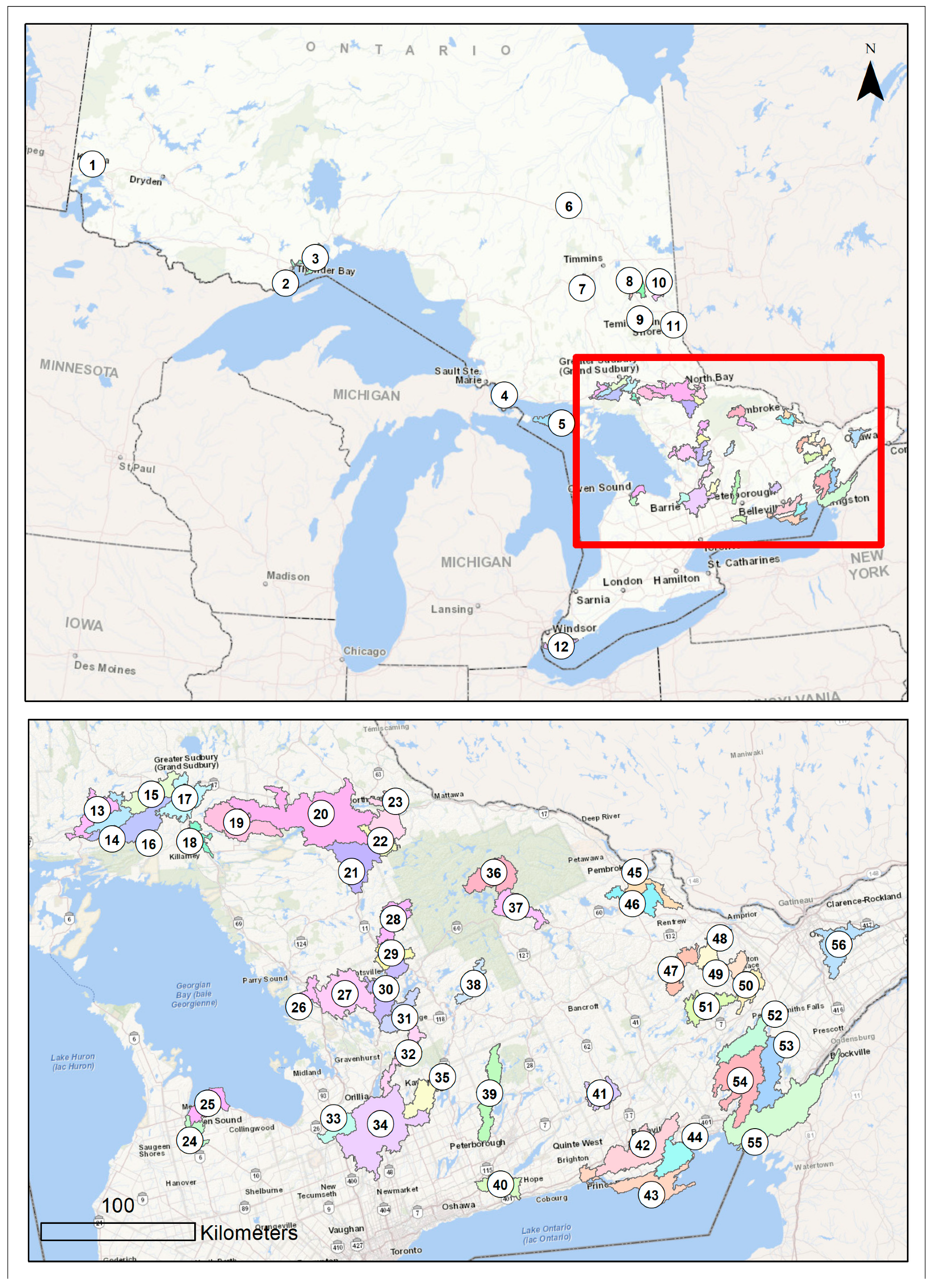 Toxins 16 00263 g006