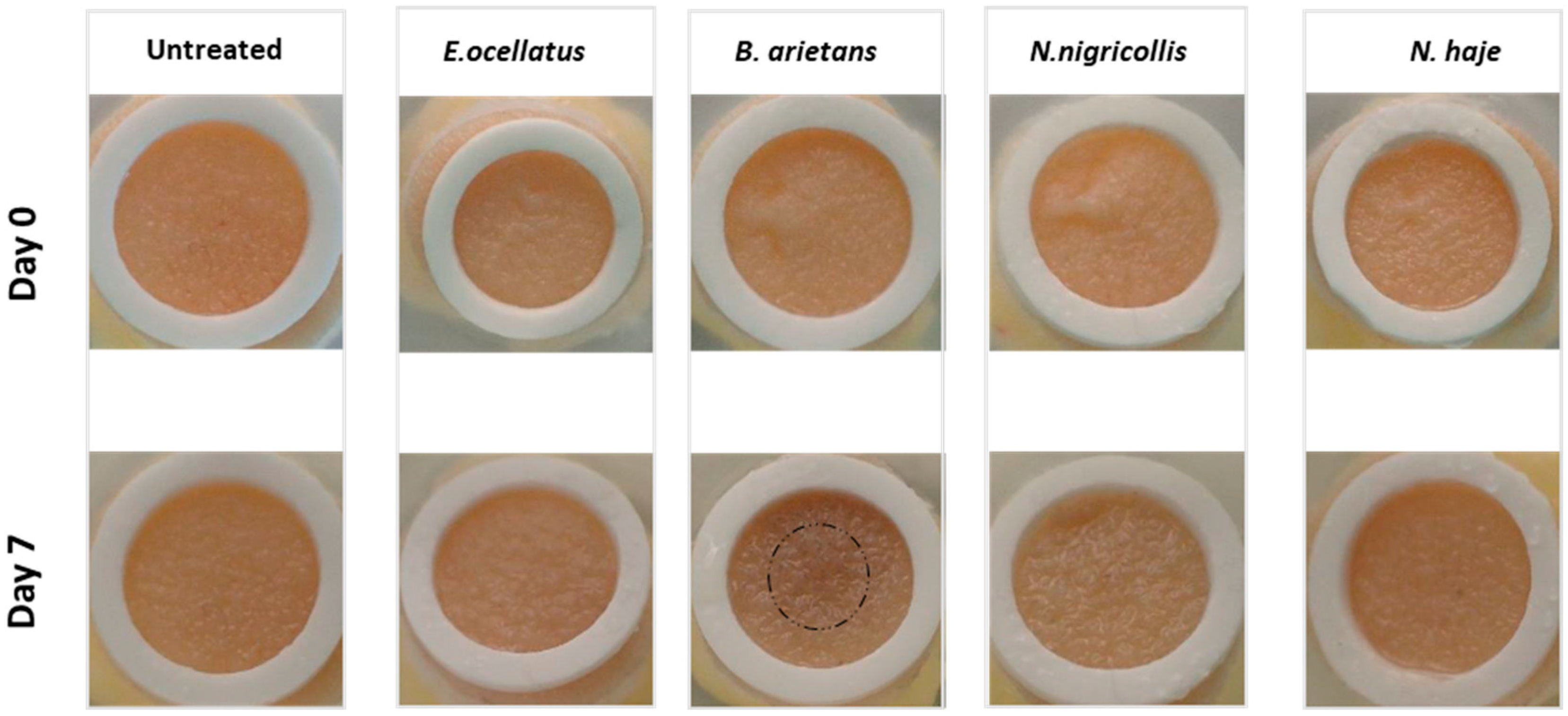 Toxins 16 00276 g001