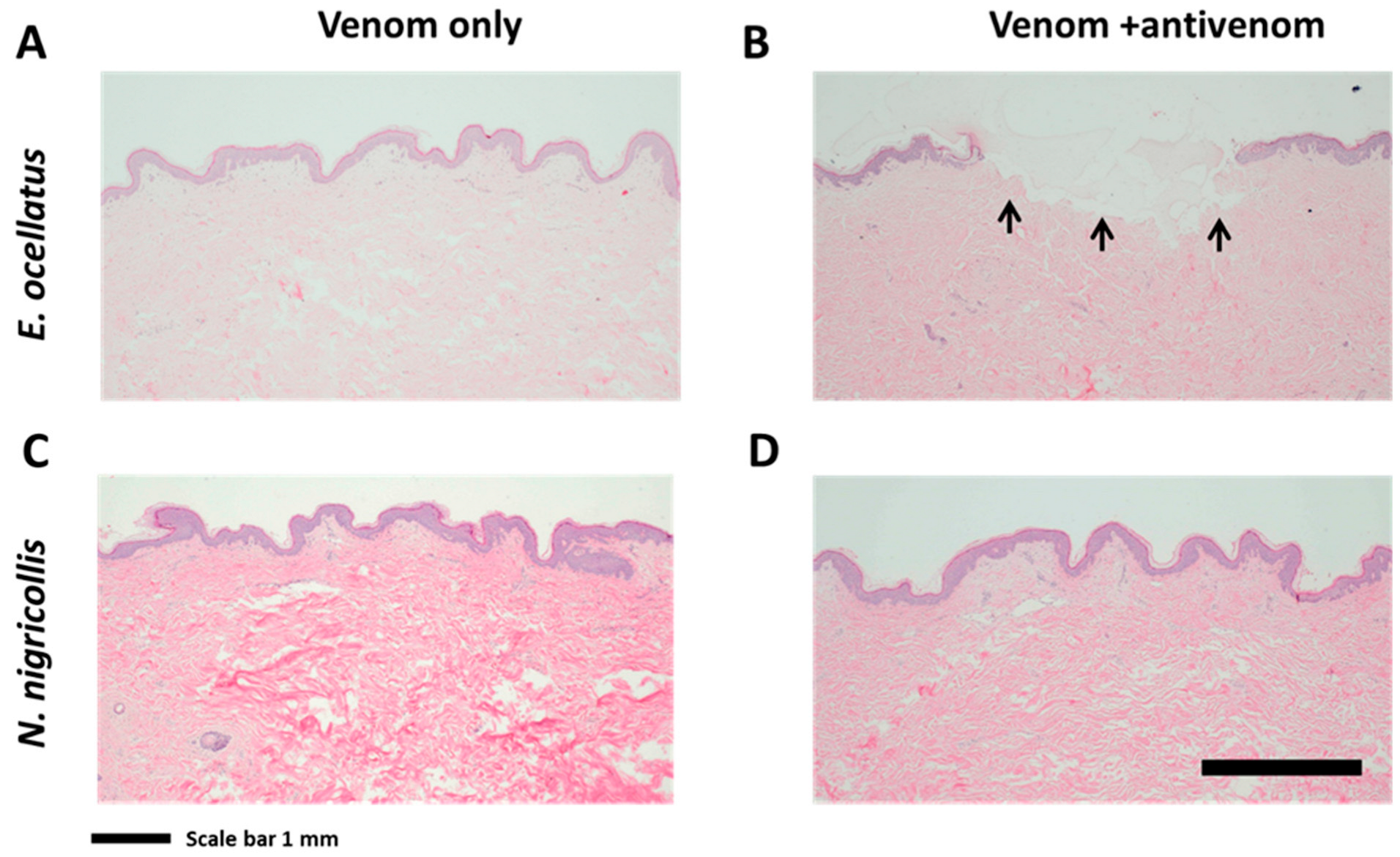 Toxins 16 00276 g005