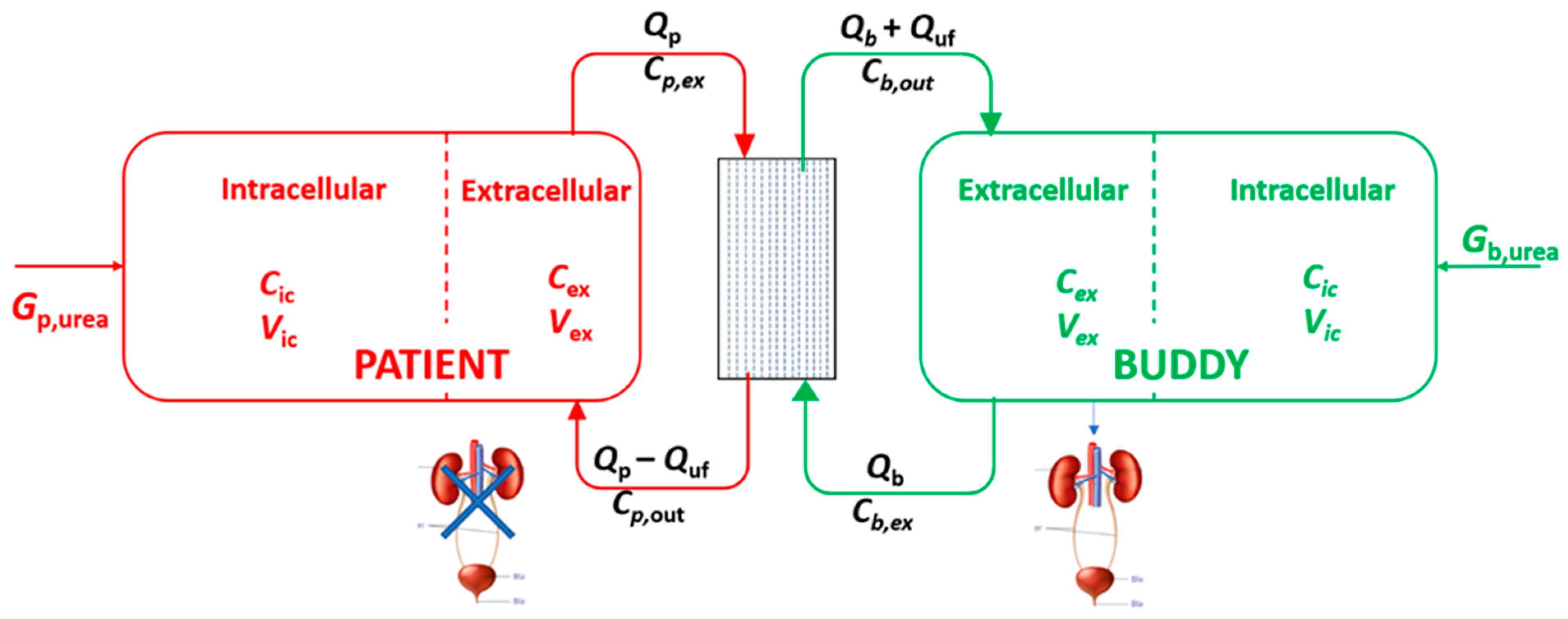 Toxins 16 00292 g001 Toxins 16 00292 g001