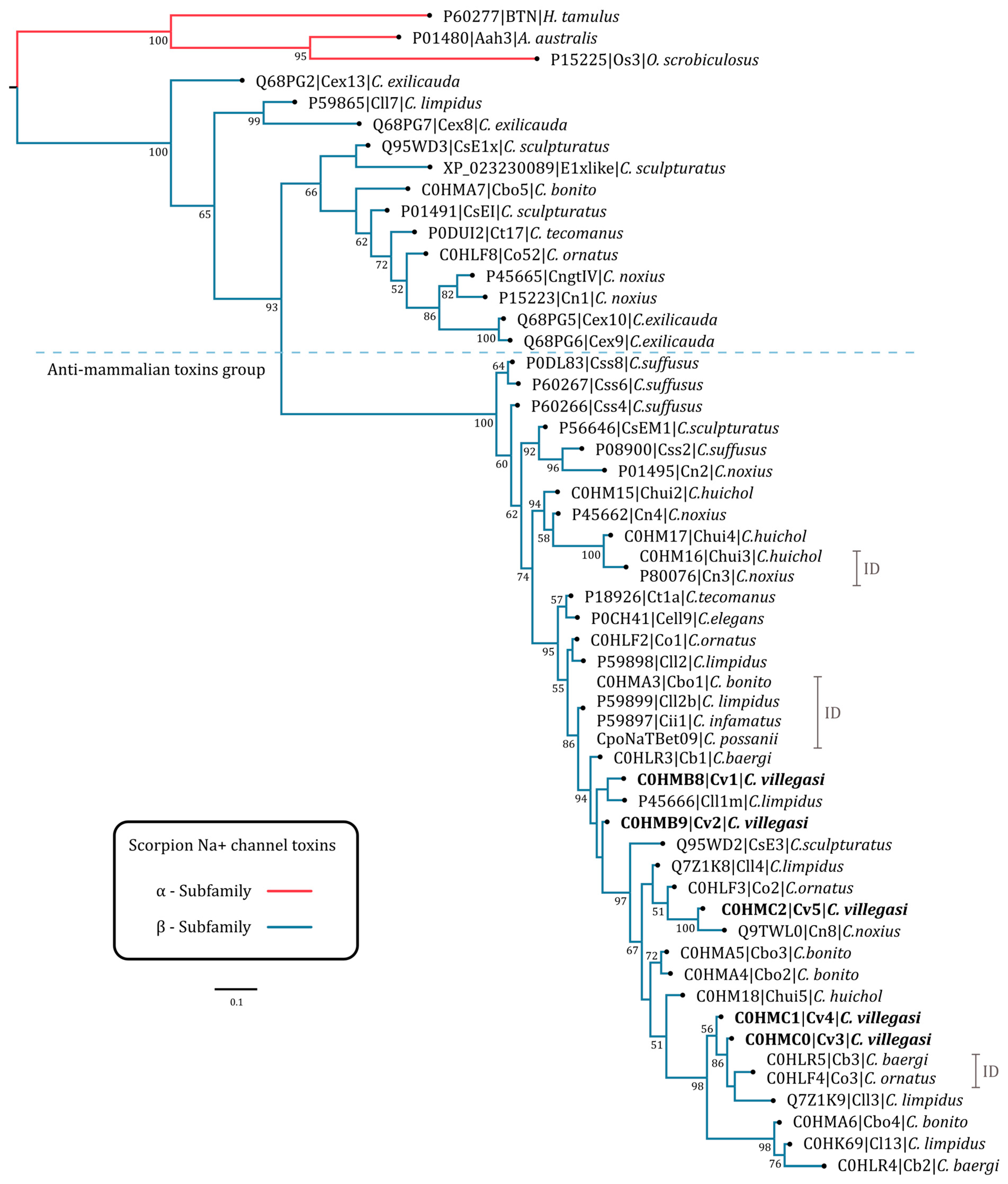 Toxins 16 00301 g004