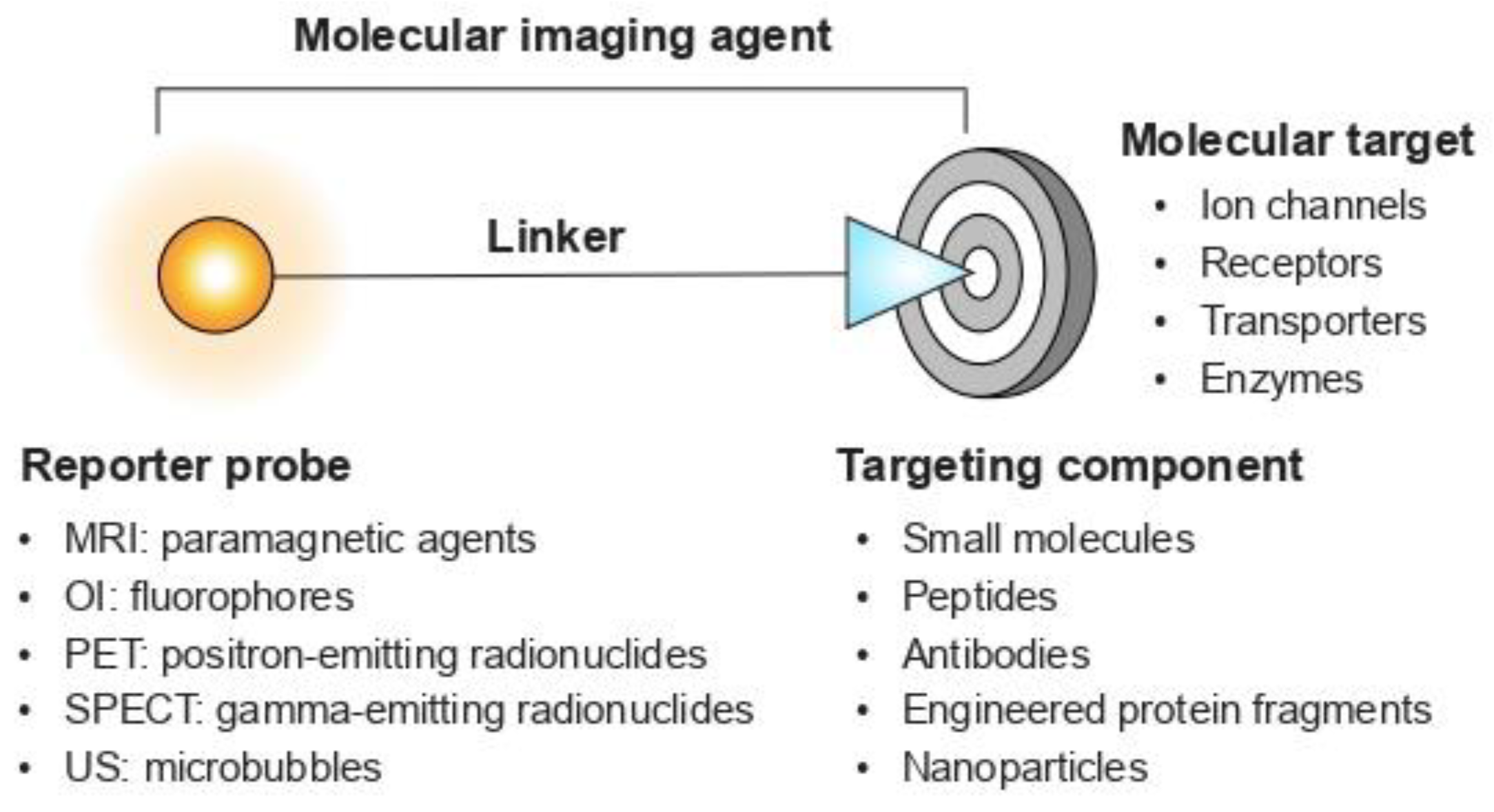 Toxins 16 00307 g001