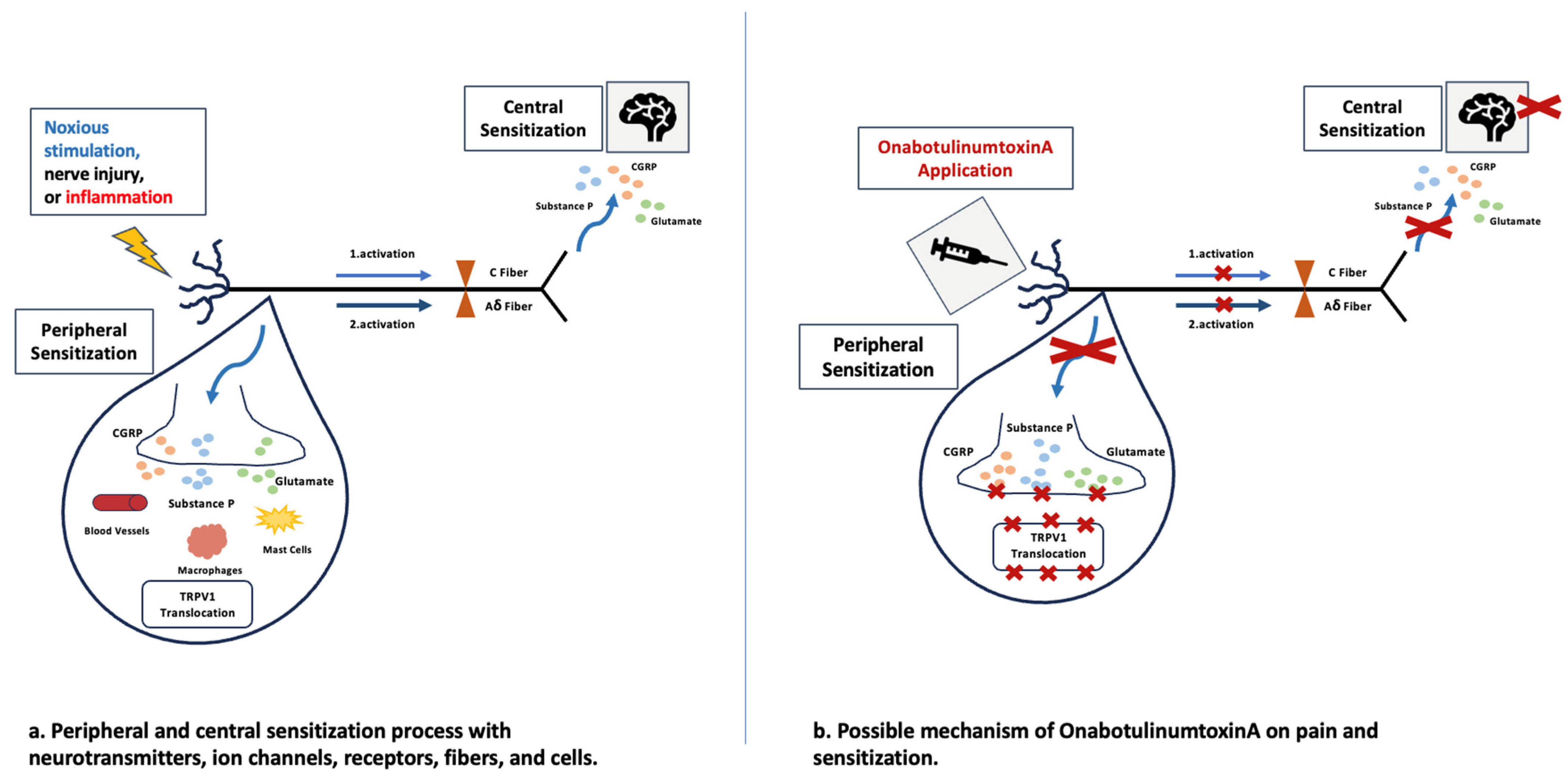 Toxins 16 00309 g002