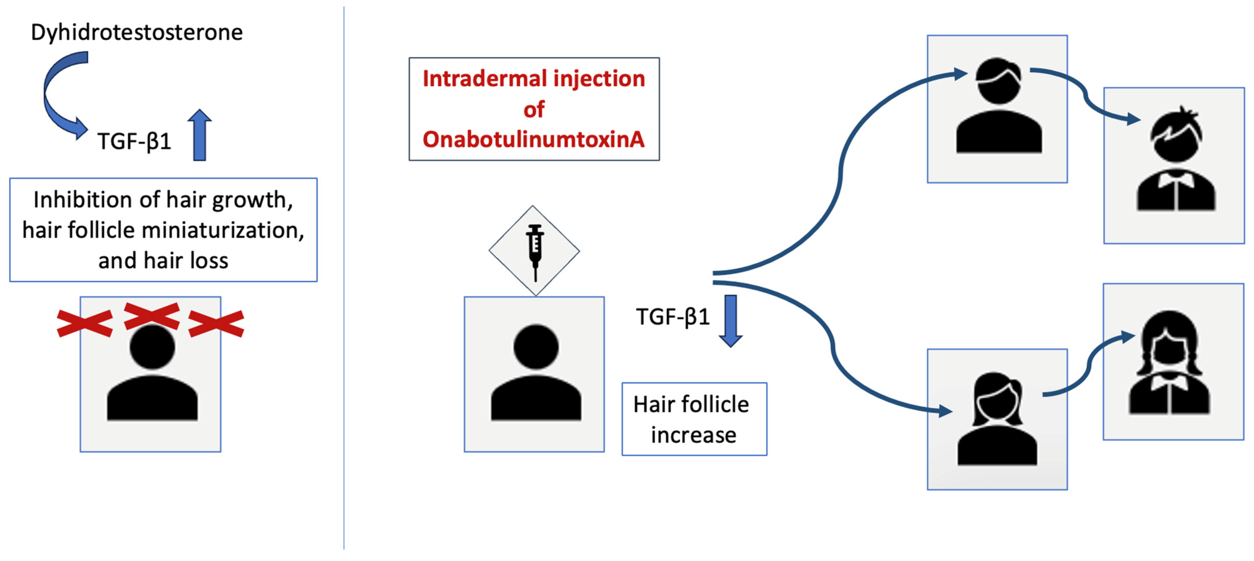 Toxins 16 00309 g003