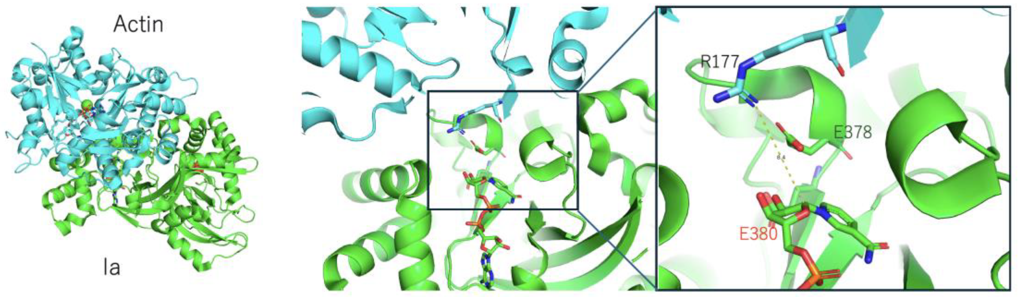 Toxins 16 00313 g003
