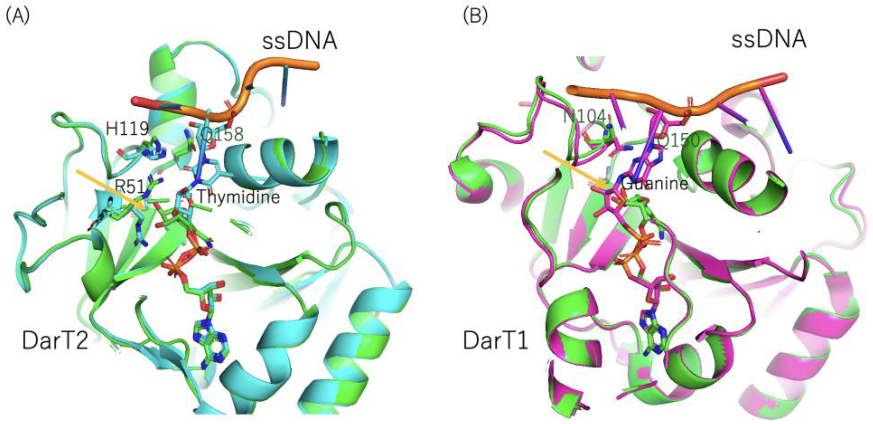 Toxins 16 00313 g007