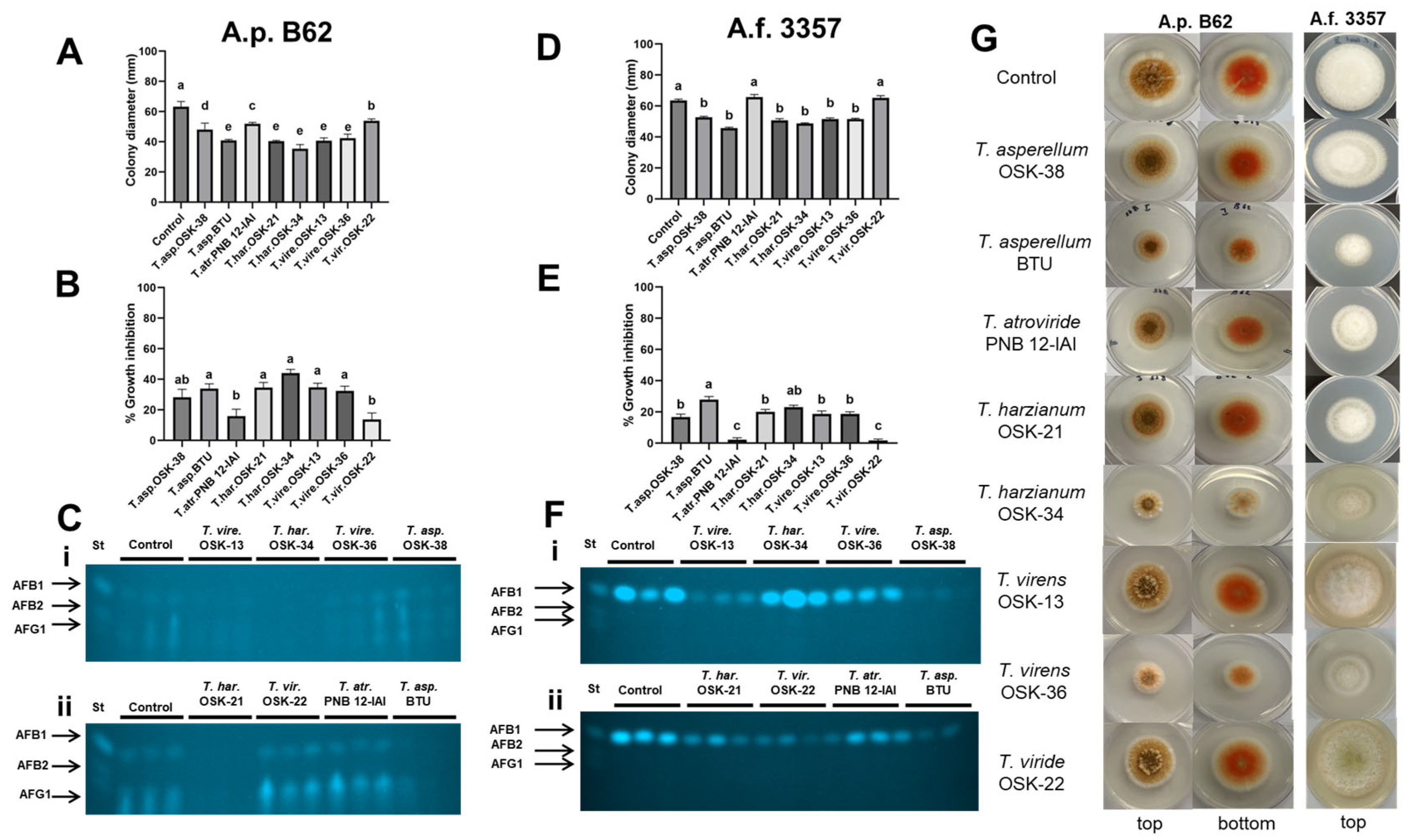 Toxins 16 00314 g003