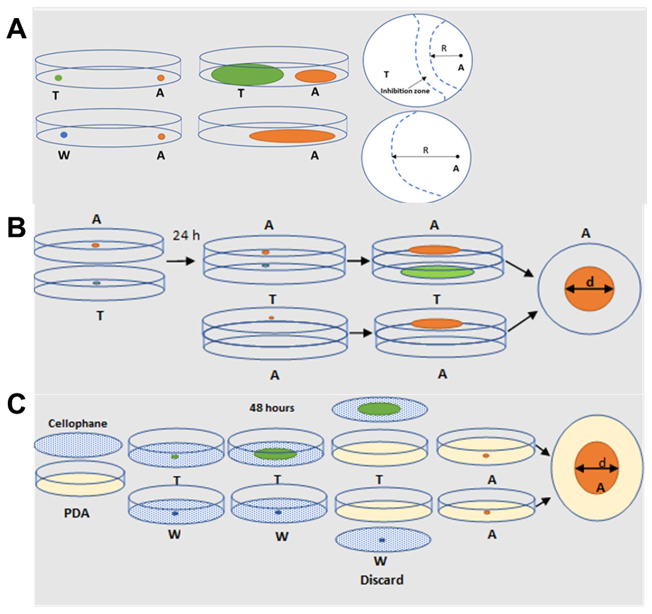Toxins 16 00314 g005