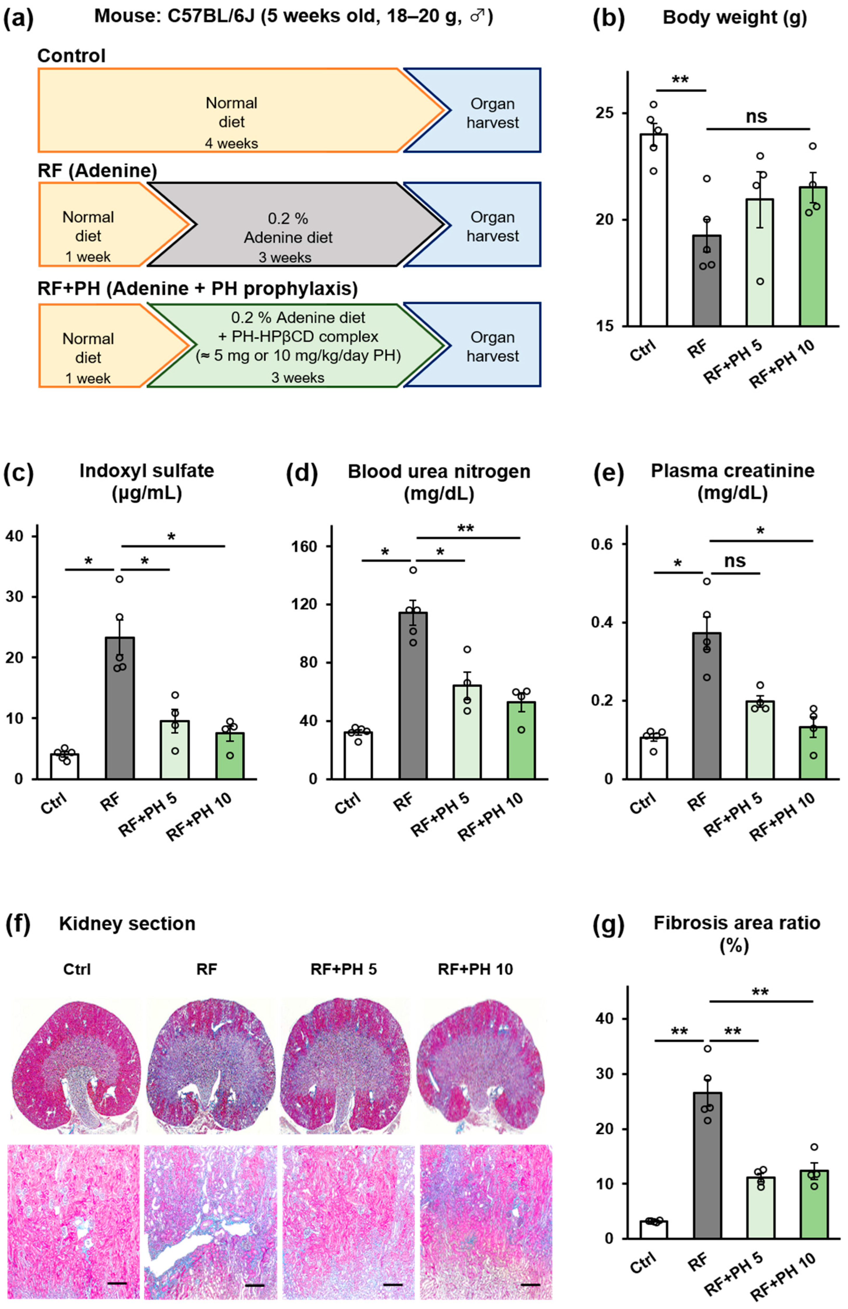 Toxins 16 00316 g003