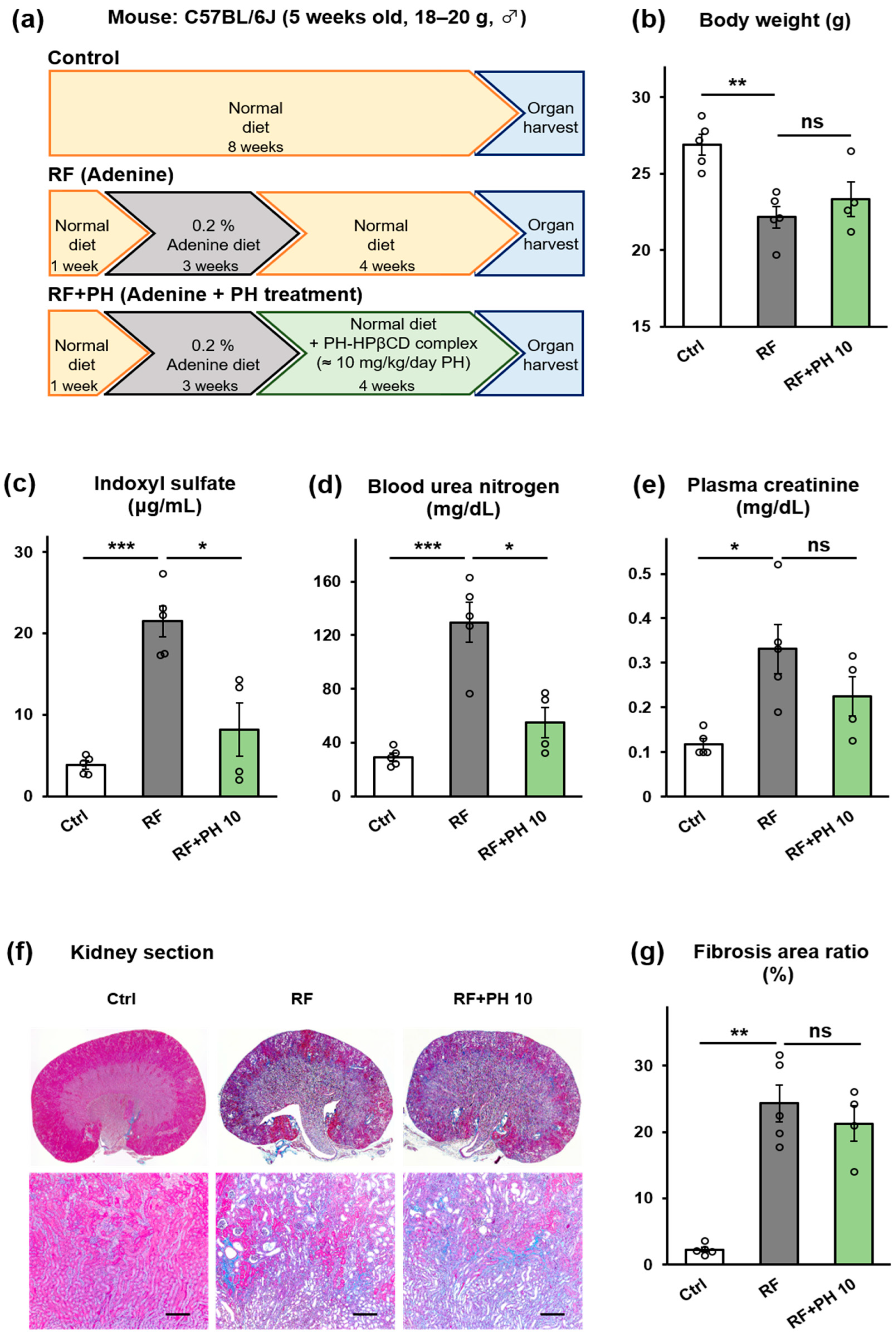 Toxins 16 00316 g004