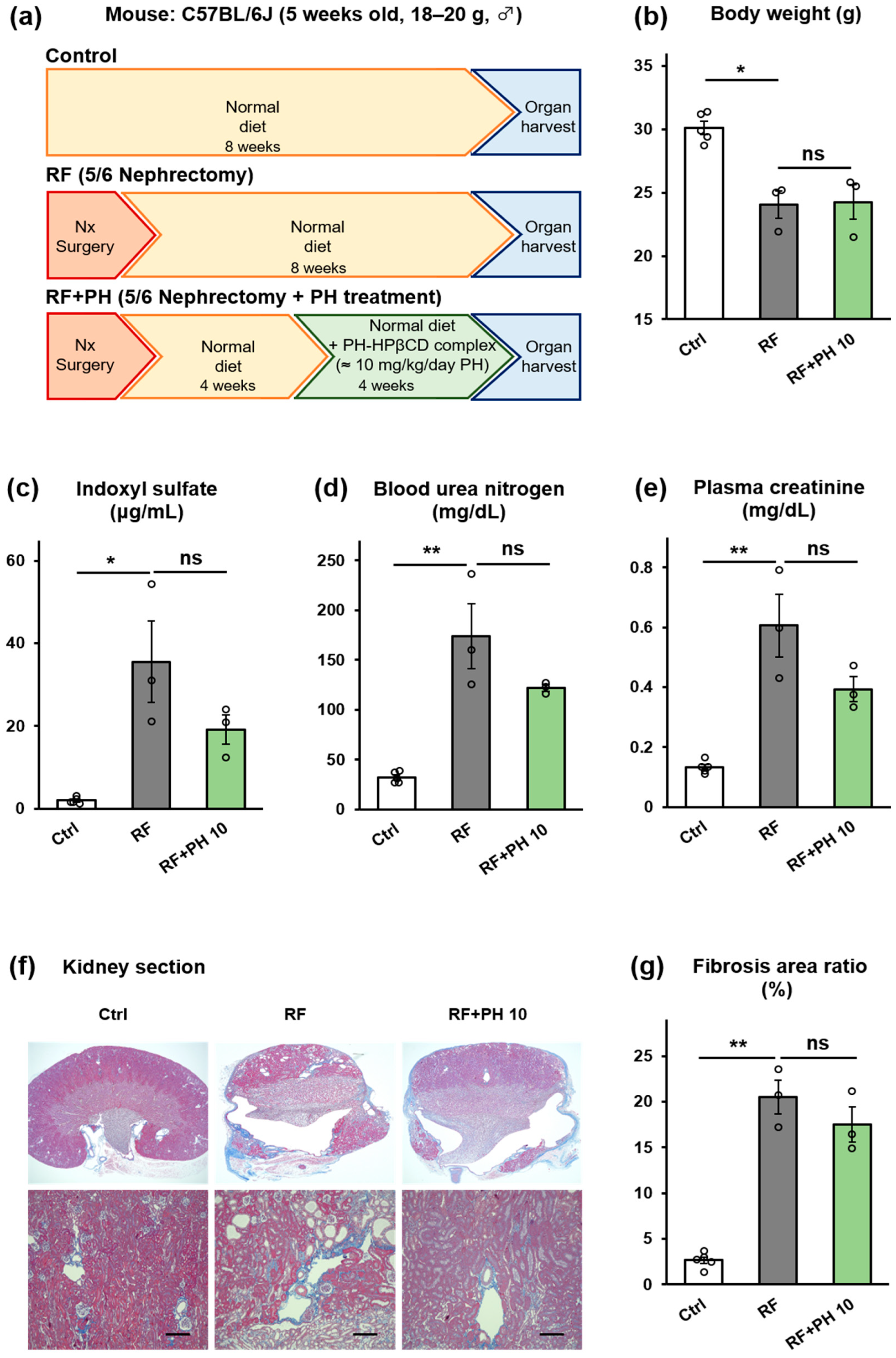 Toxins 16 00316 g005