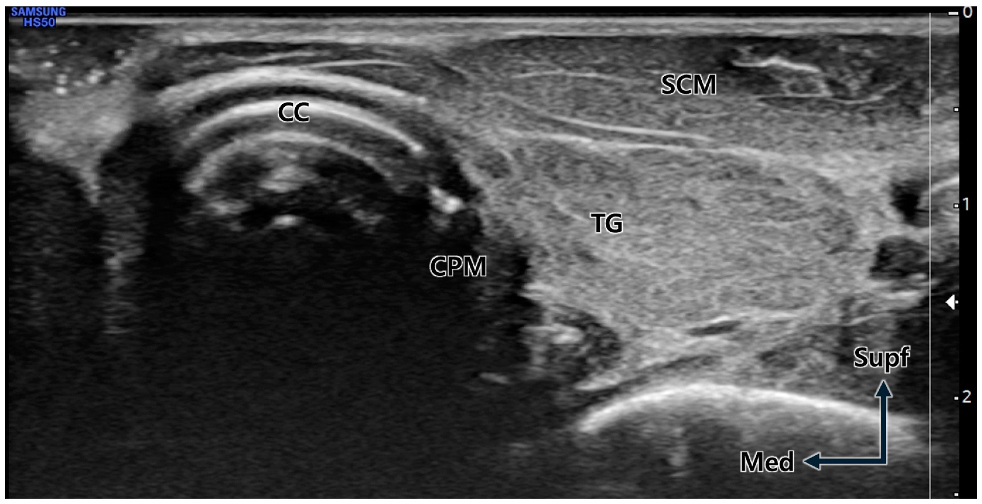 Toxins 16 00317 g005