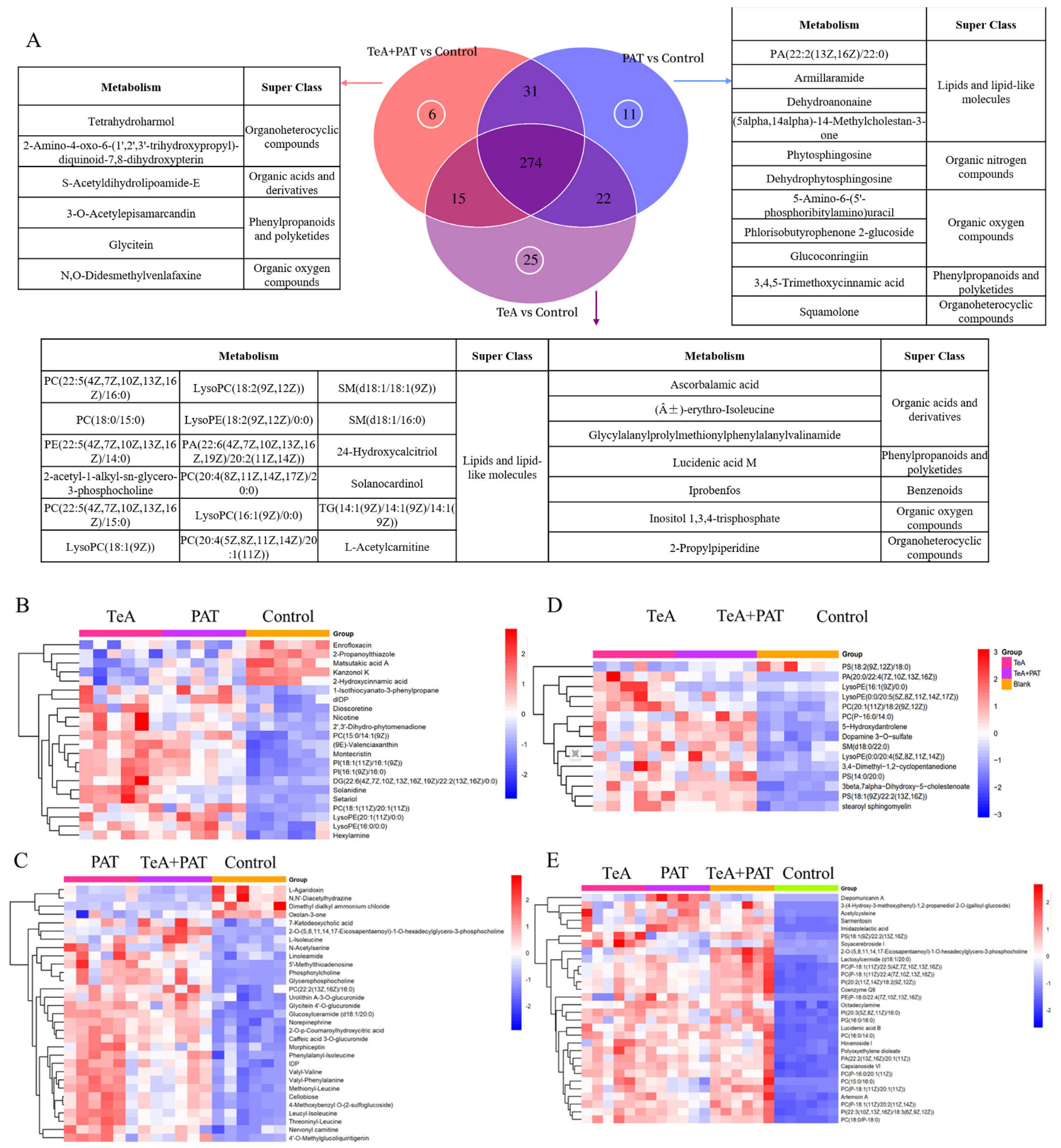Toxins 16 00319 g004