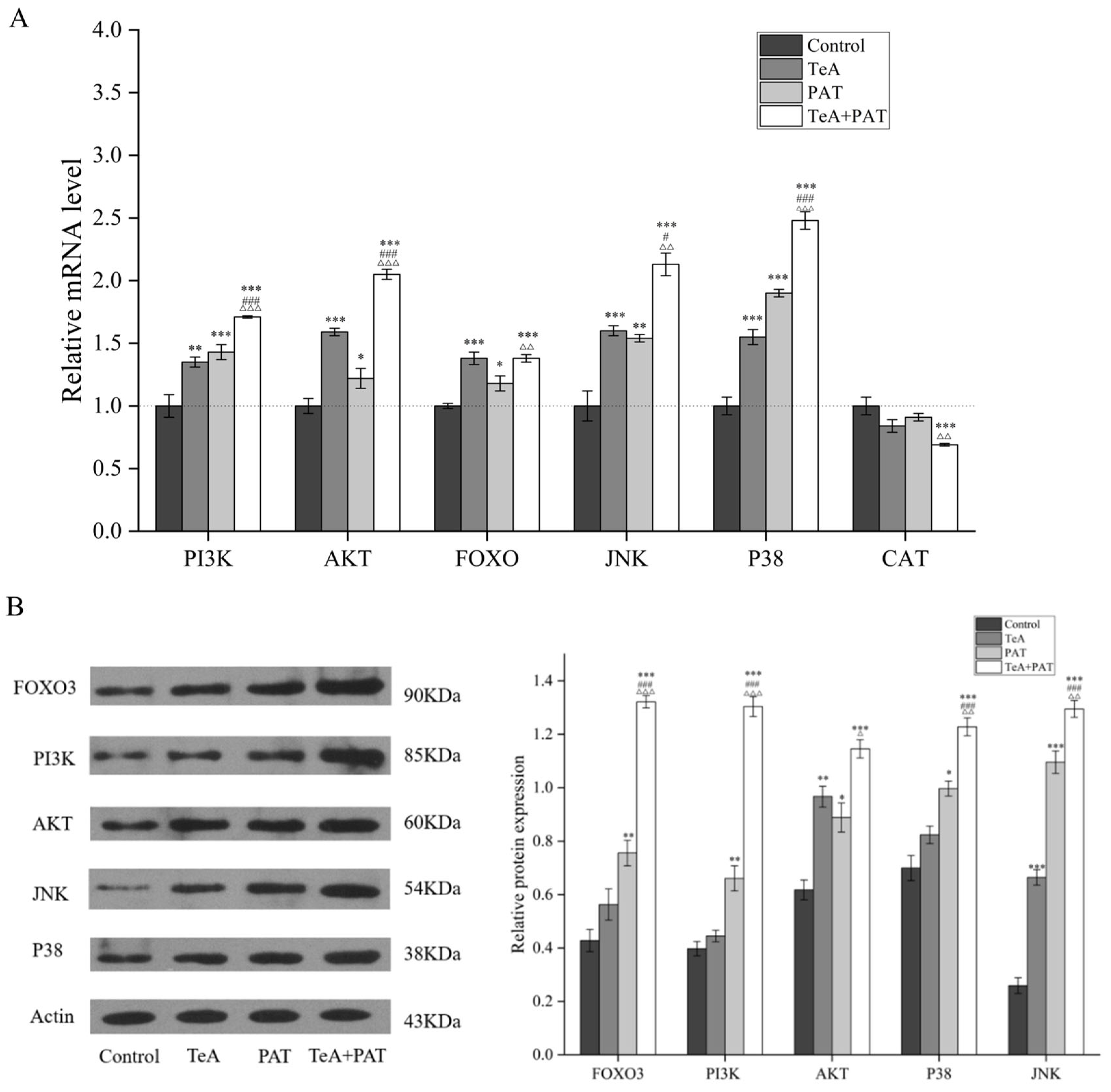 Toxins 16 00319 g007