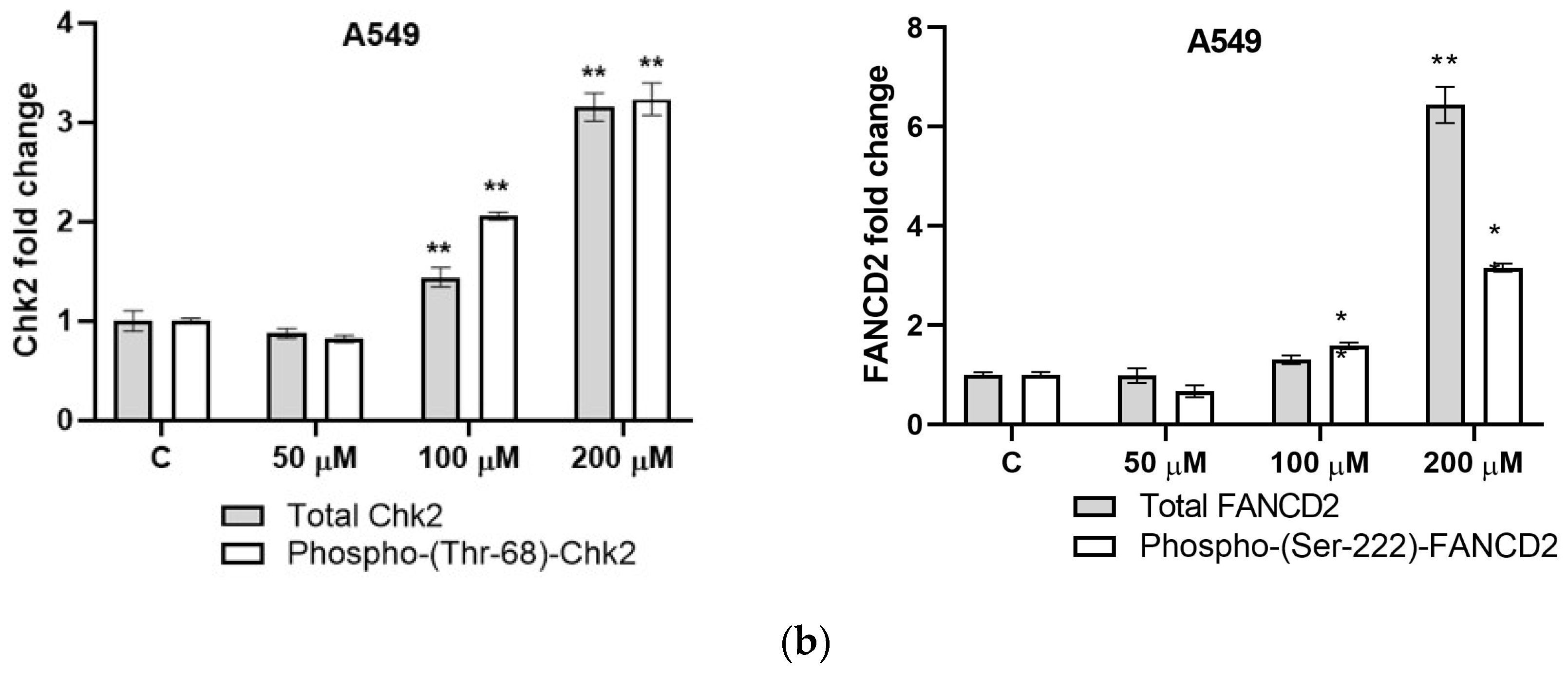 Toxins 16 00321 g004b