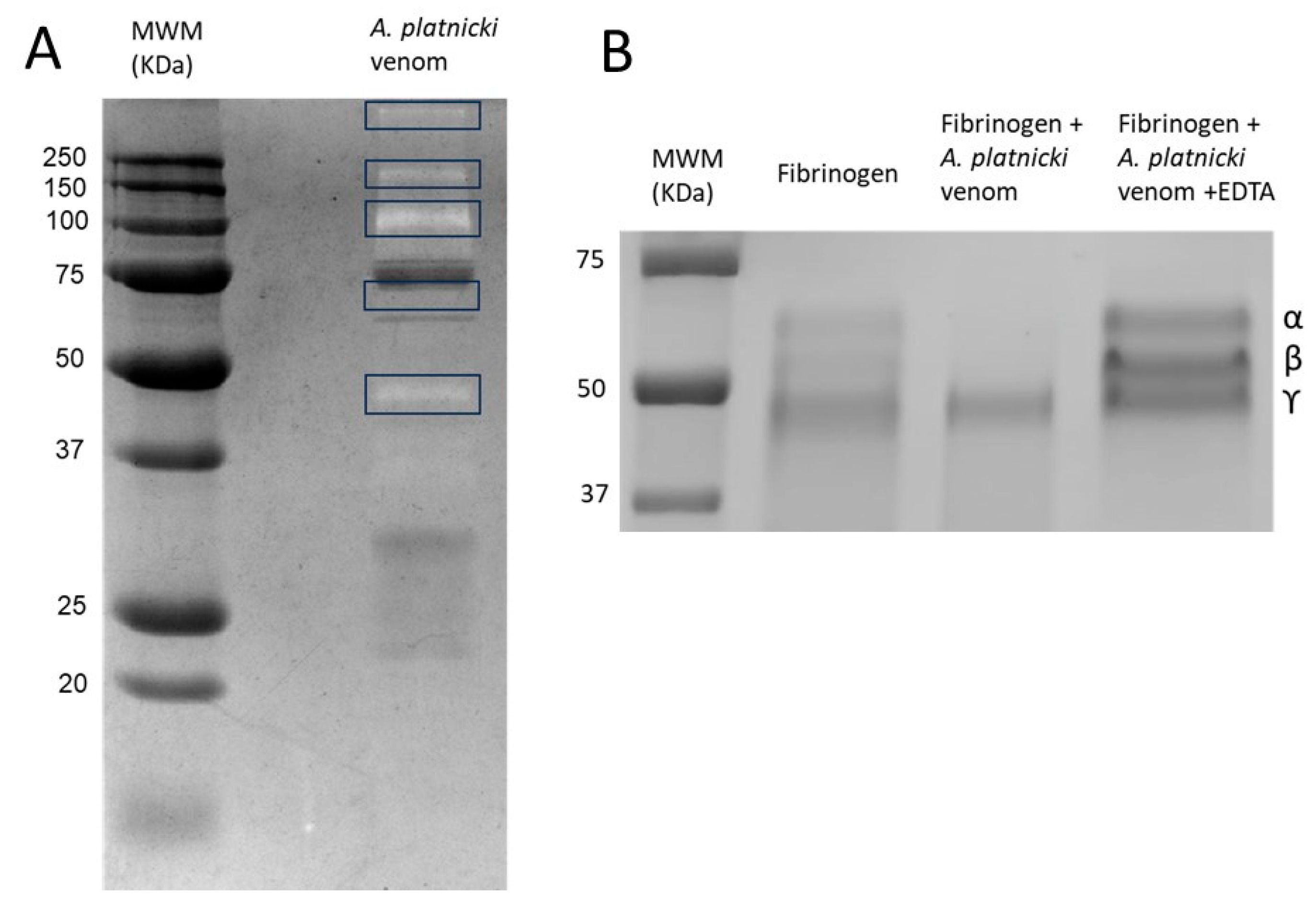 Toxins 16 00327 g003