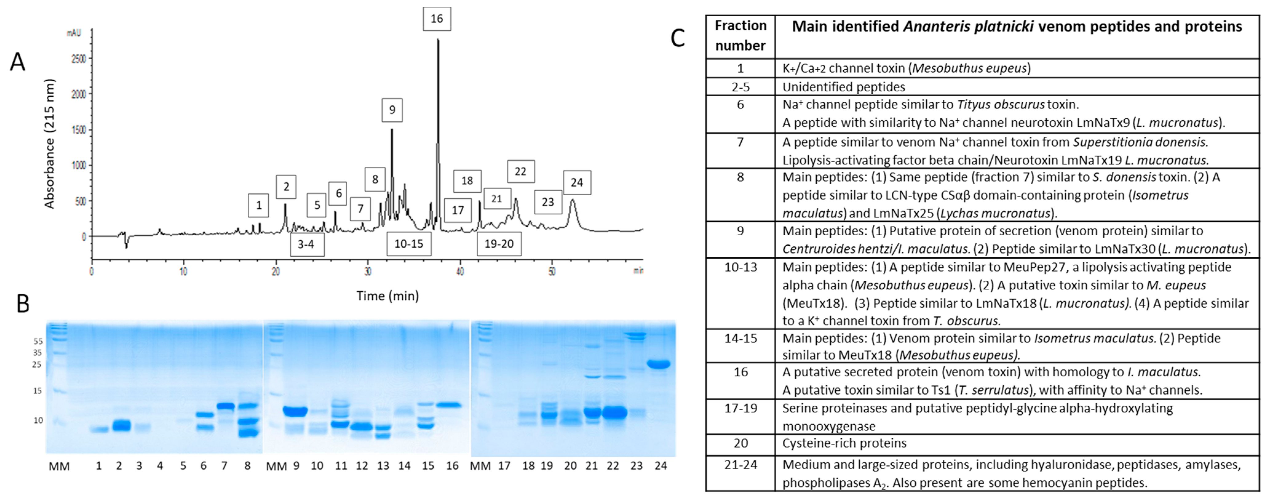 Toxins 16 00327 g006