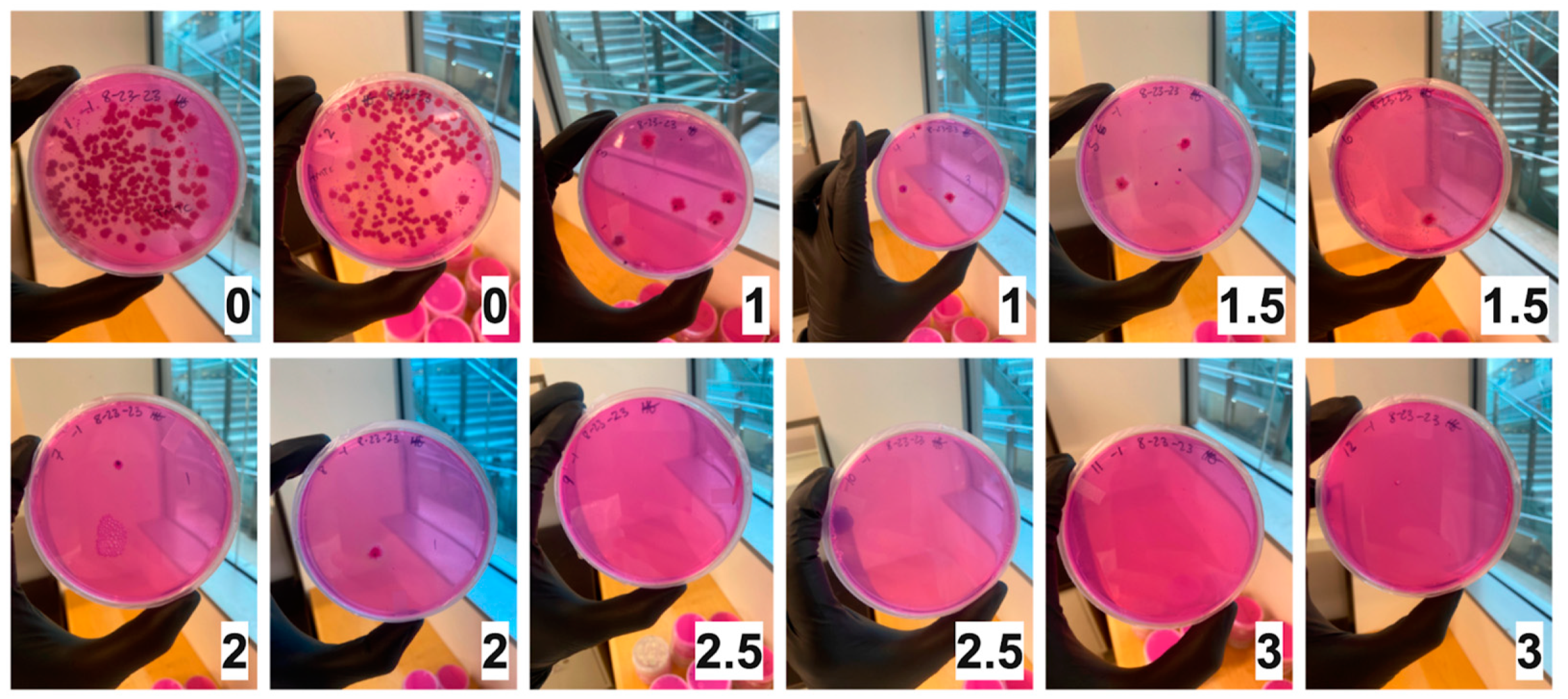 Toxins 16 00329 g001