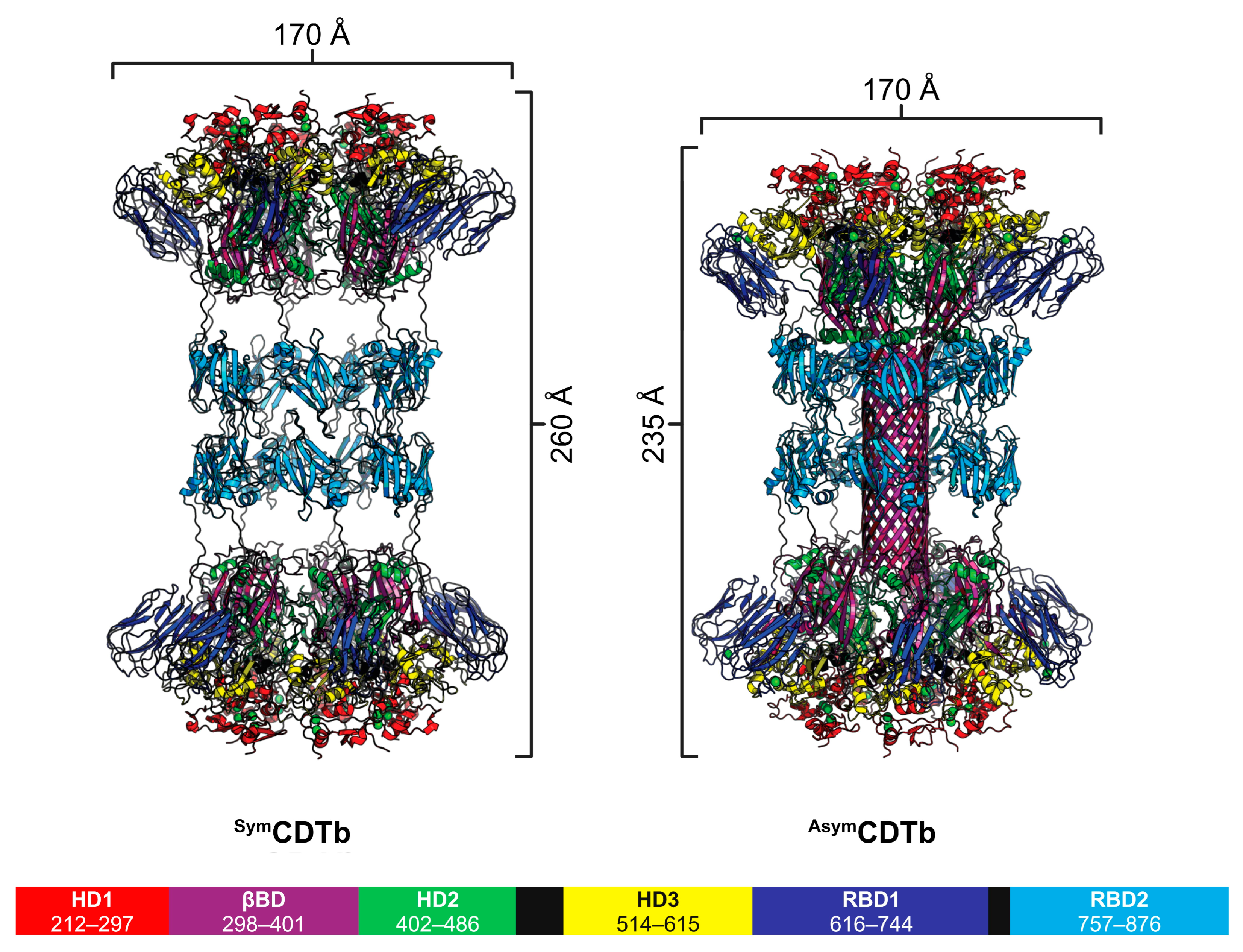 Toxins 16 00330 g004