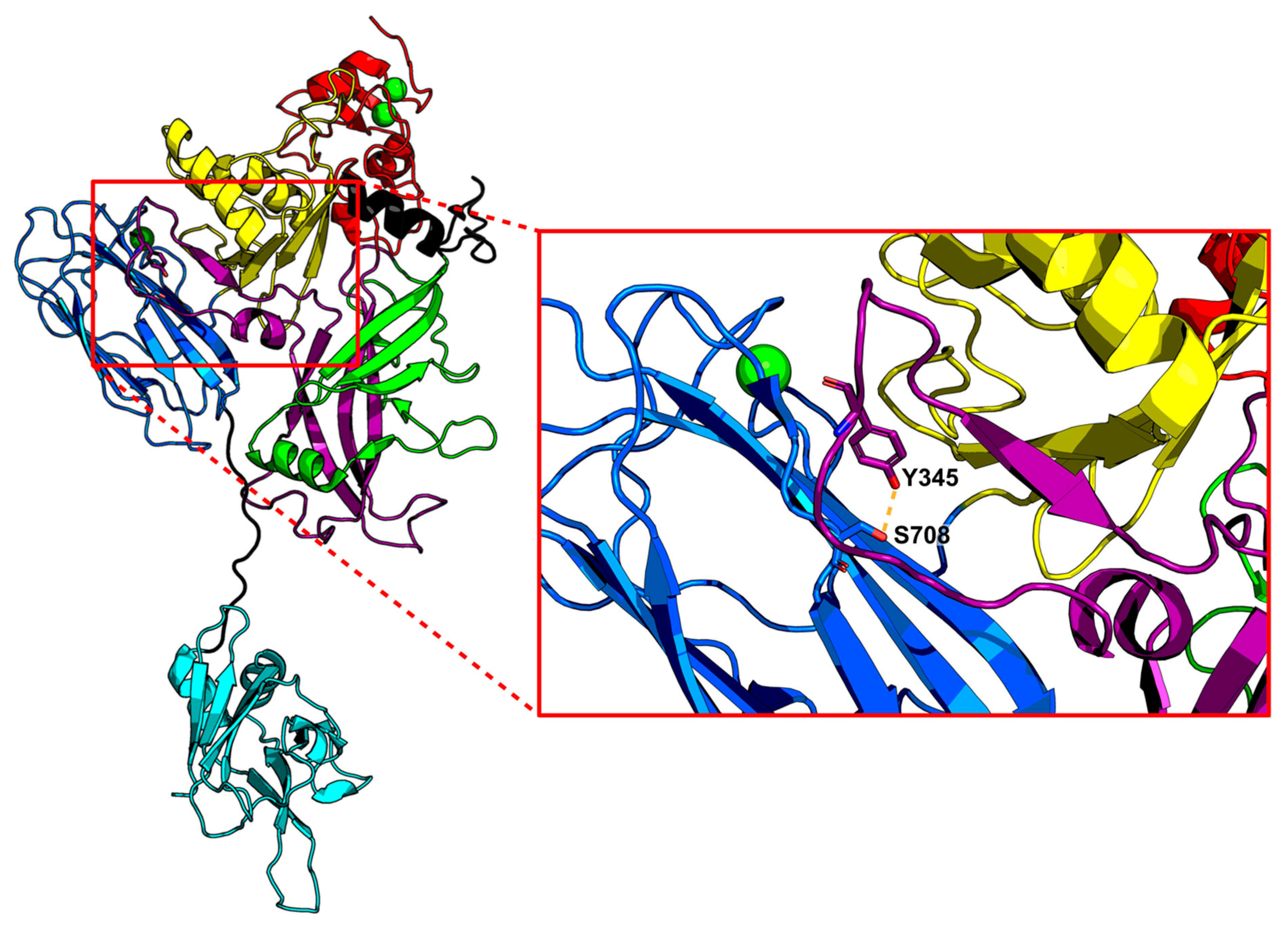 Toxins 16 00330 g006