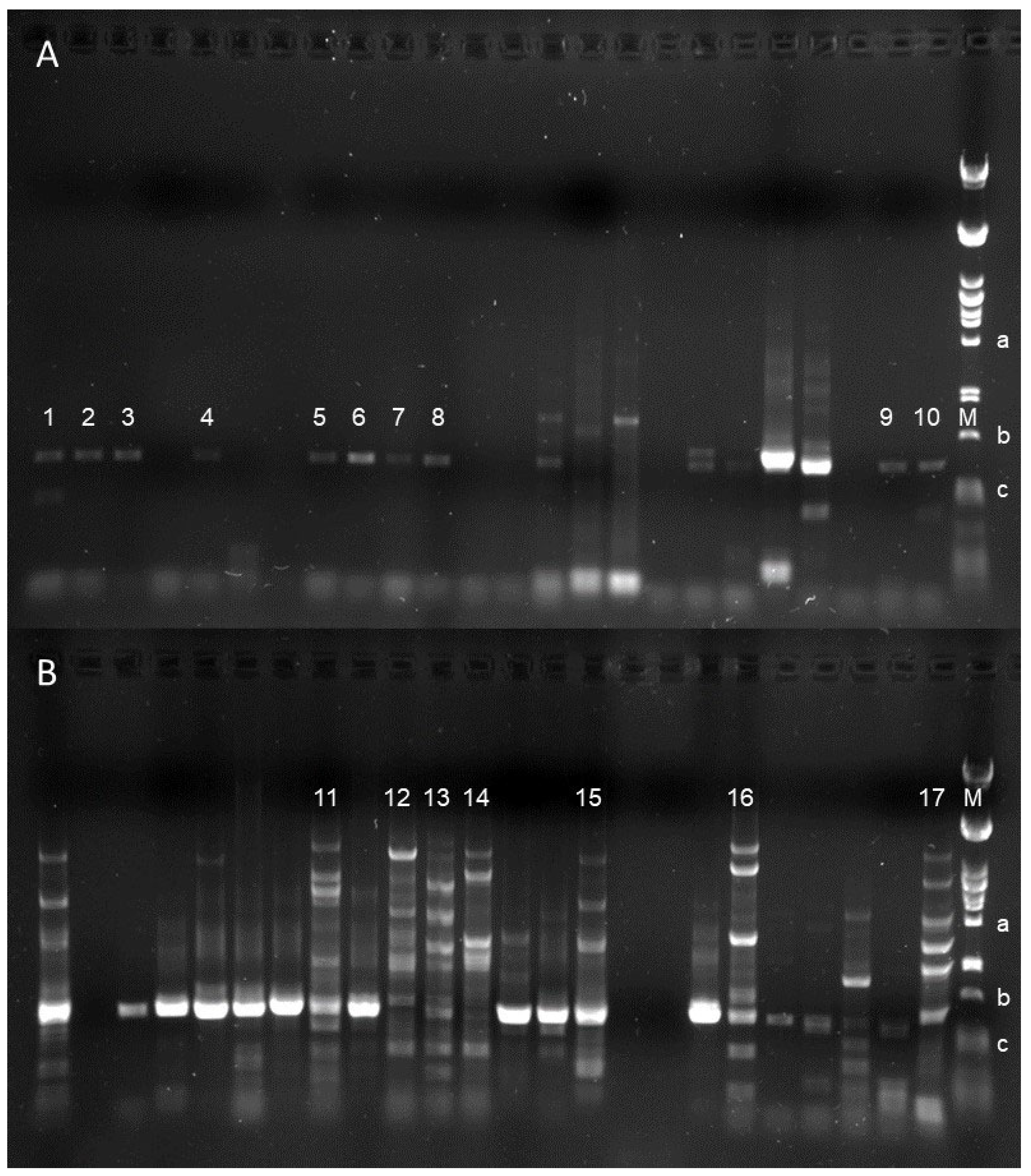 Toxins 16 00333 g002