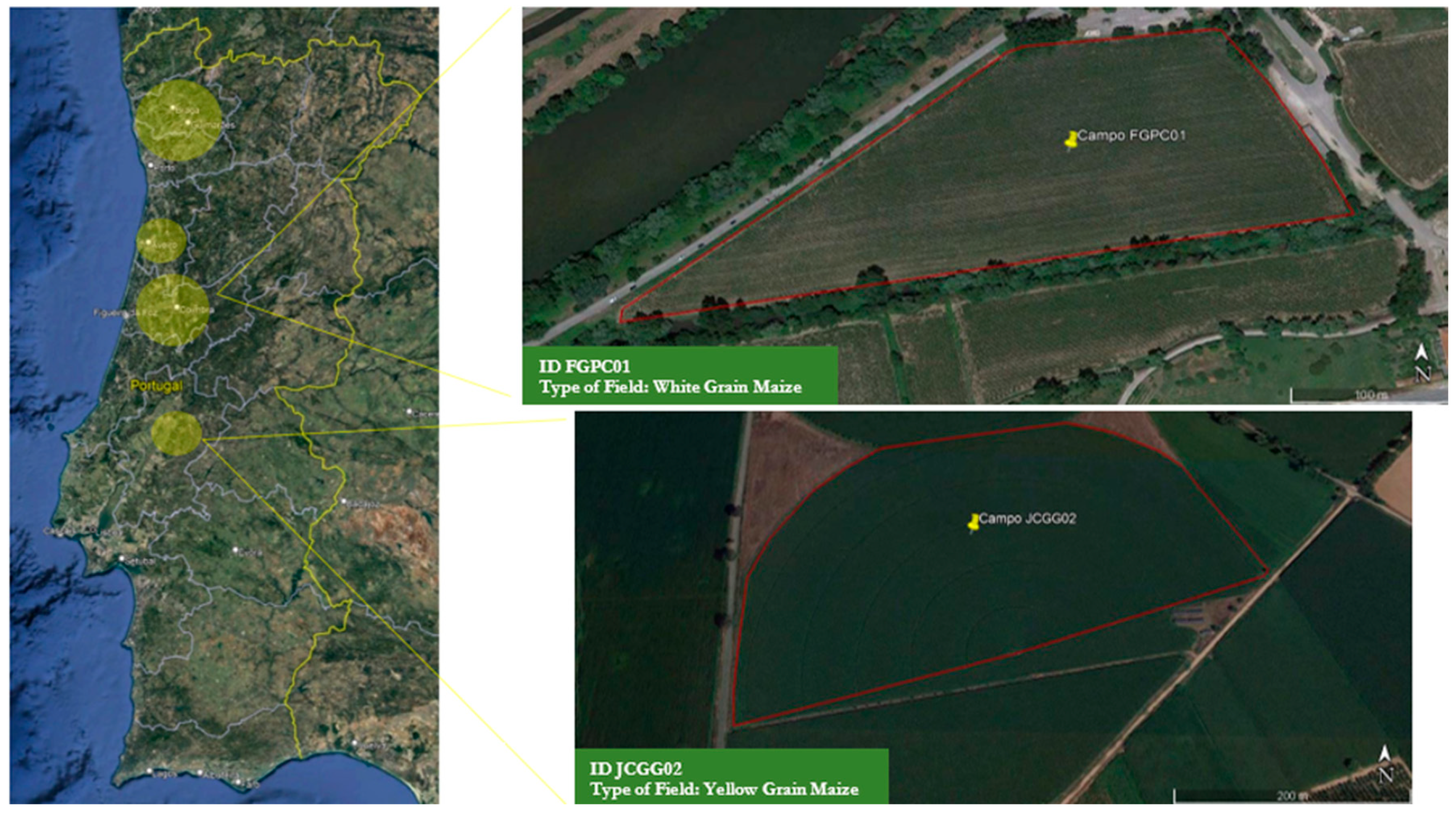 Toxins 16 00335 g002