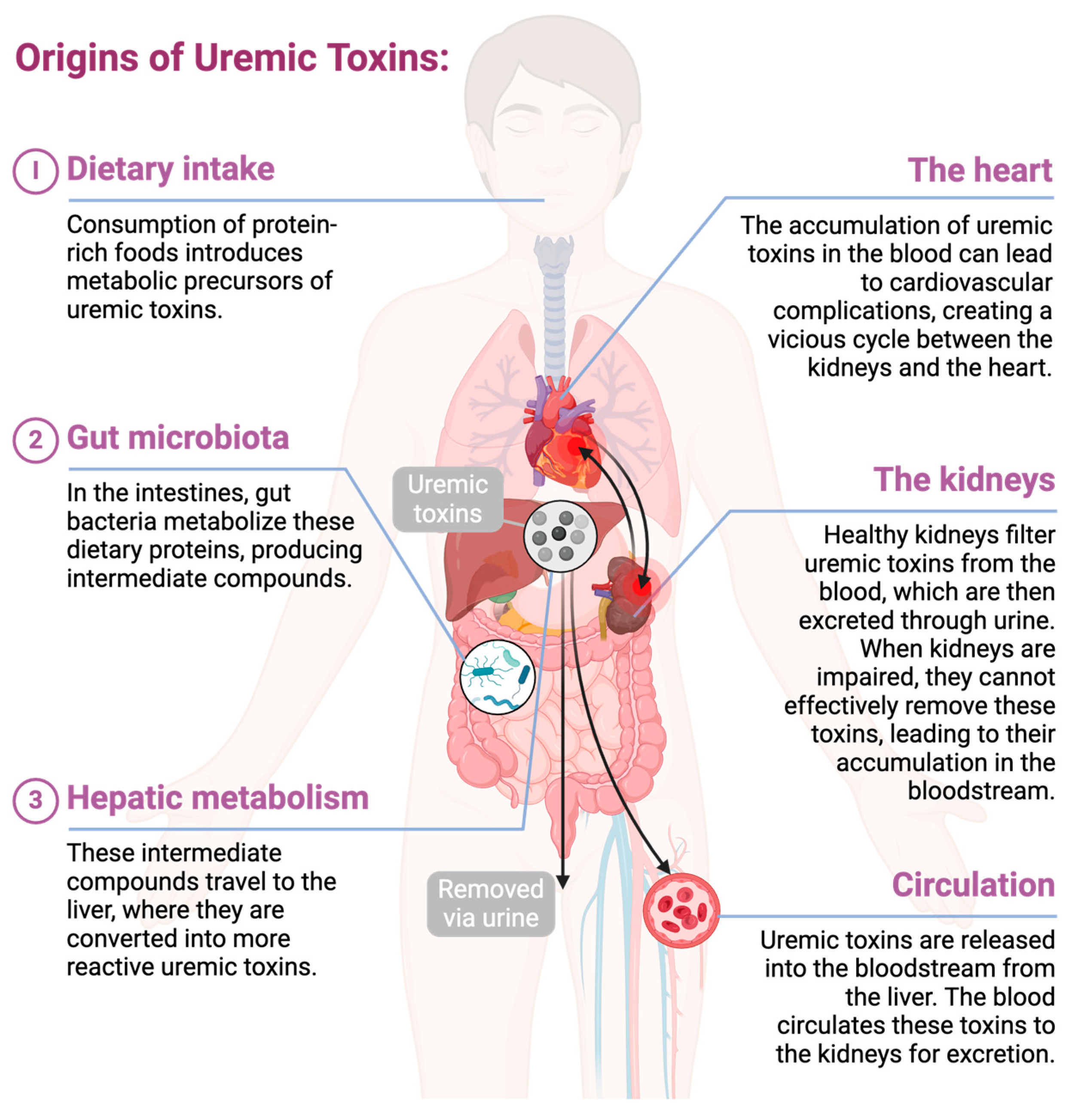 Toxins 16 00345 g001